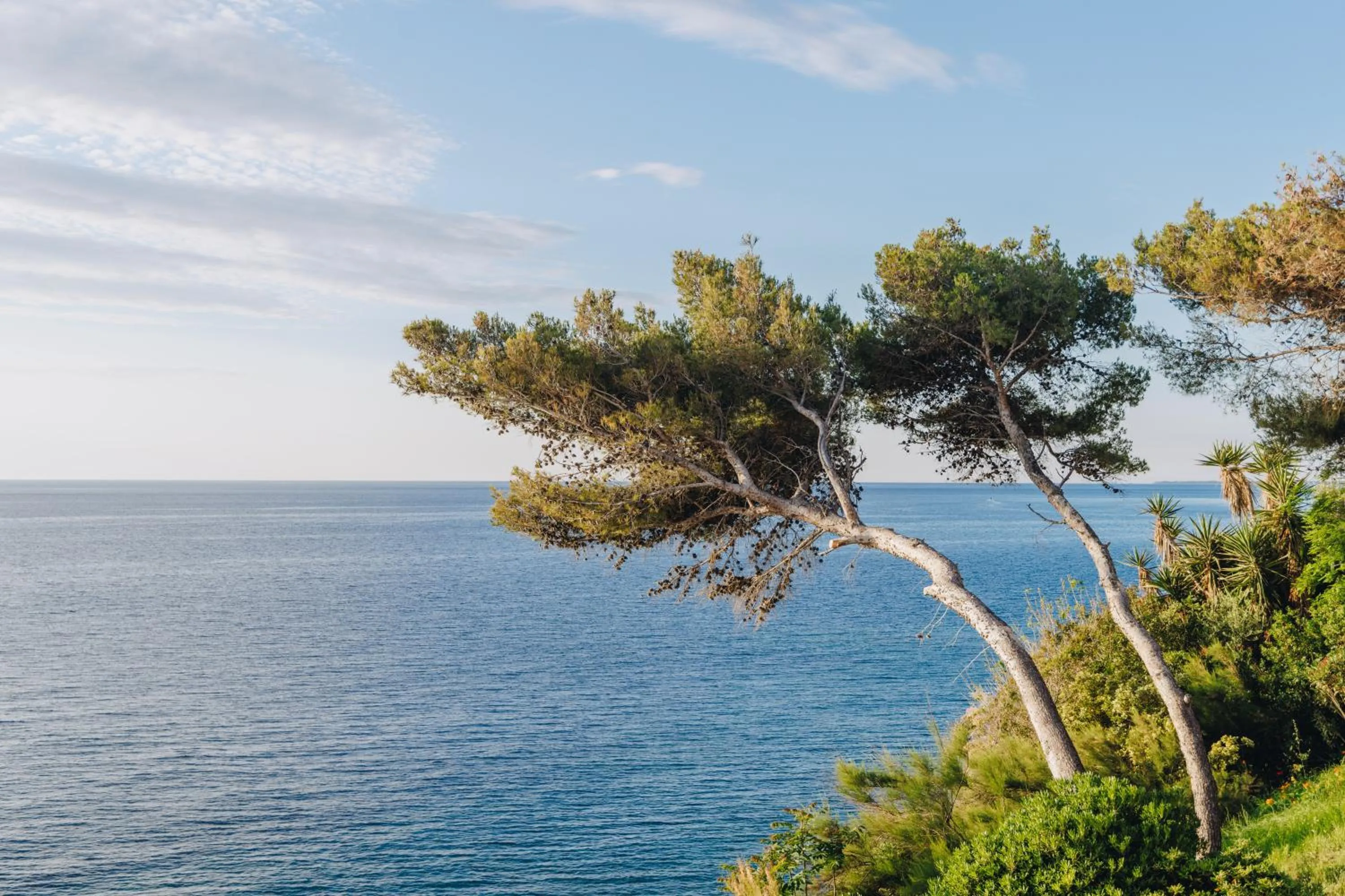 Natural landscape in Alivi