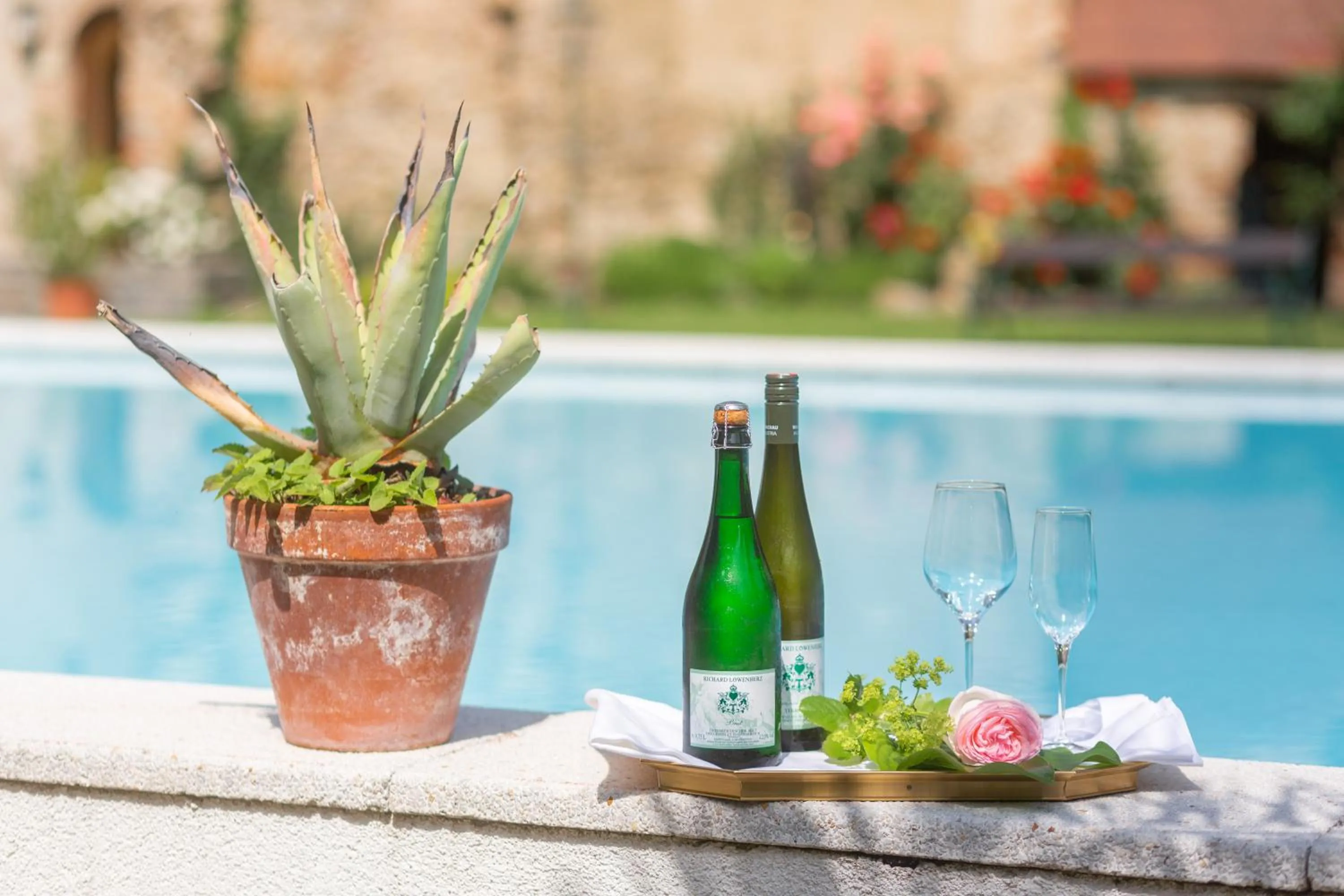 Garden in Hotel Richard Löwenherz