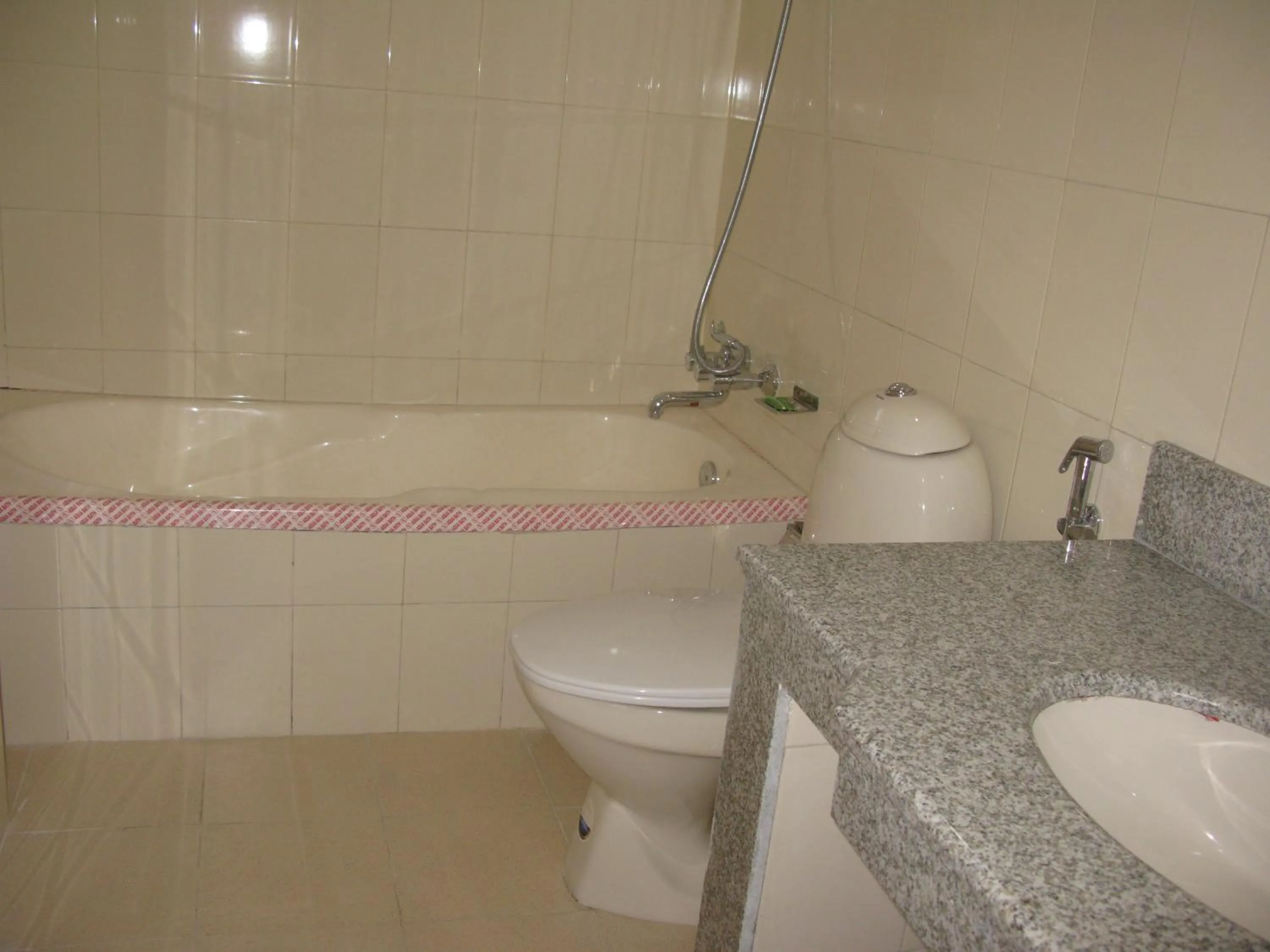 Bathroom in Hotel Asia