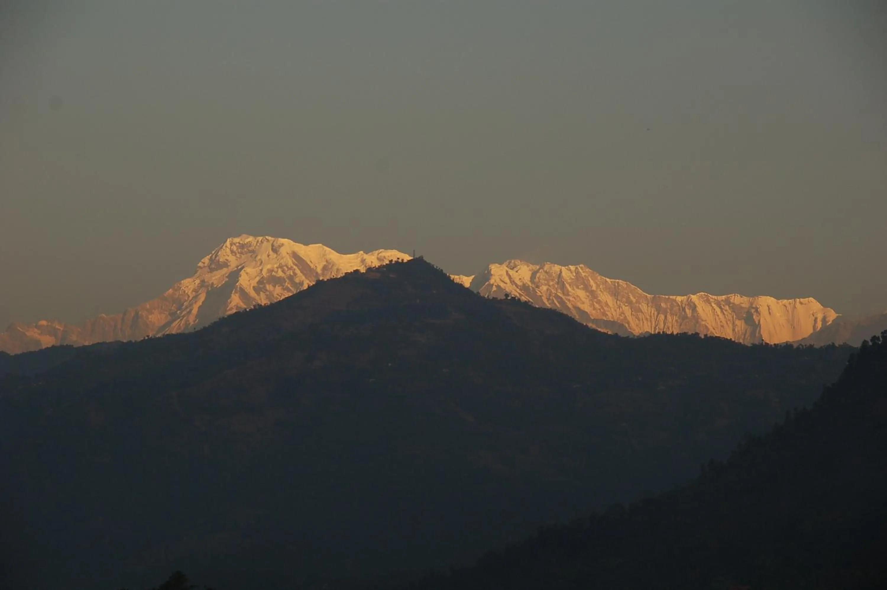 Natural landscape in Hotel Asia