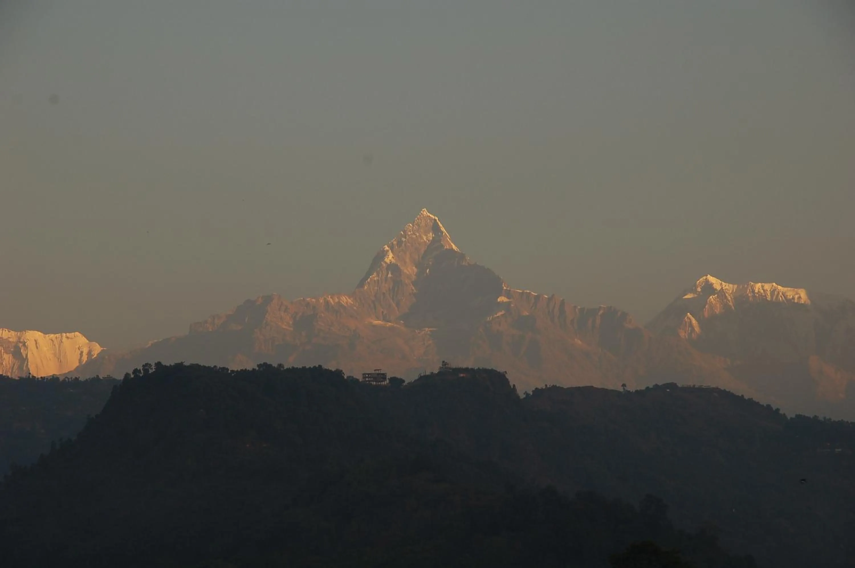 Natural landscape in Hotel Asia