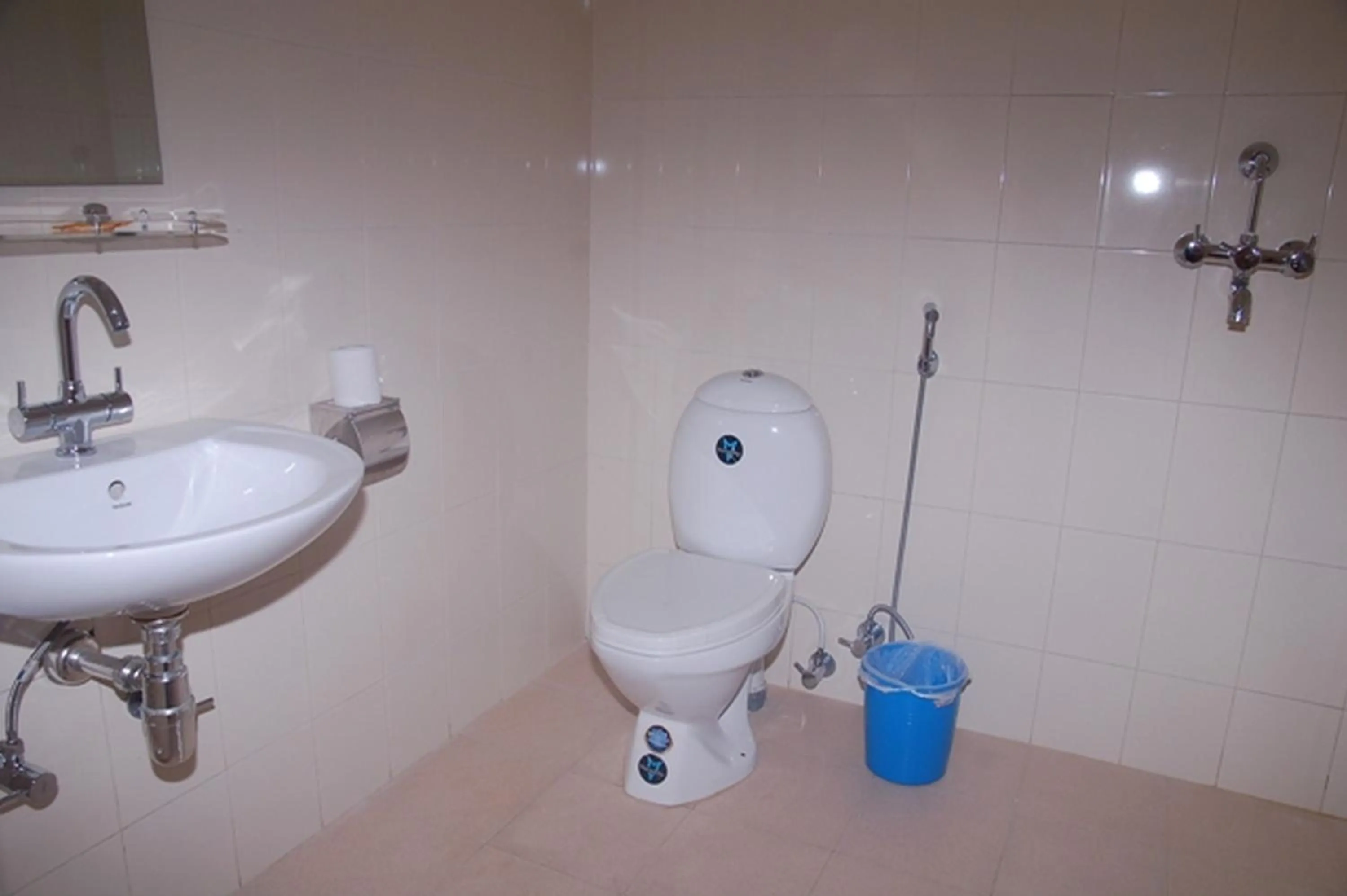 Shower in Hotel Asia