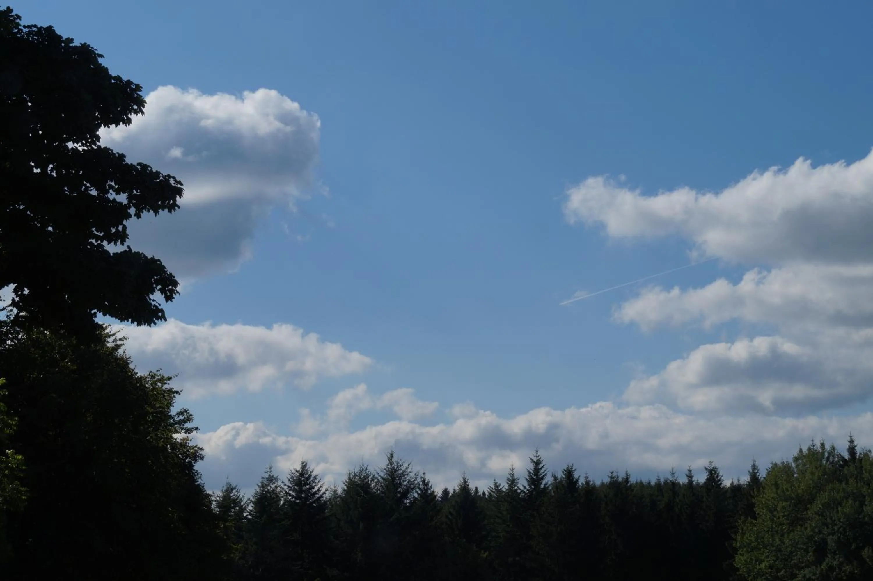 Landgasthof Restaurant Laibach