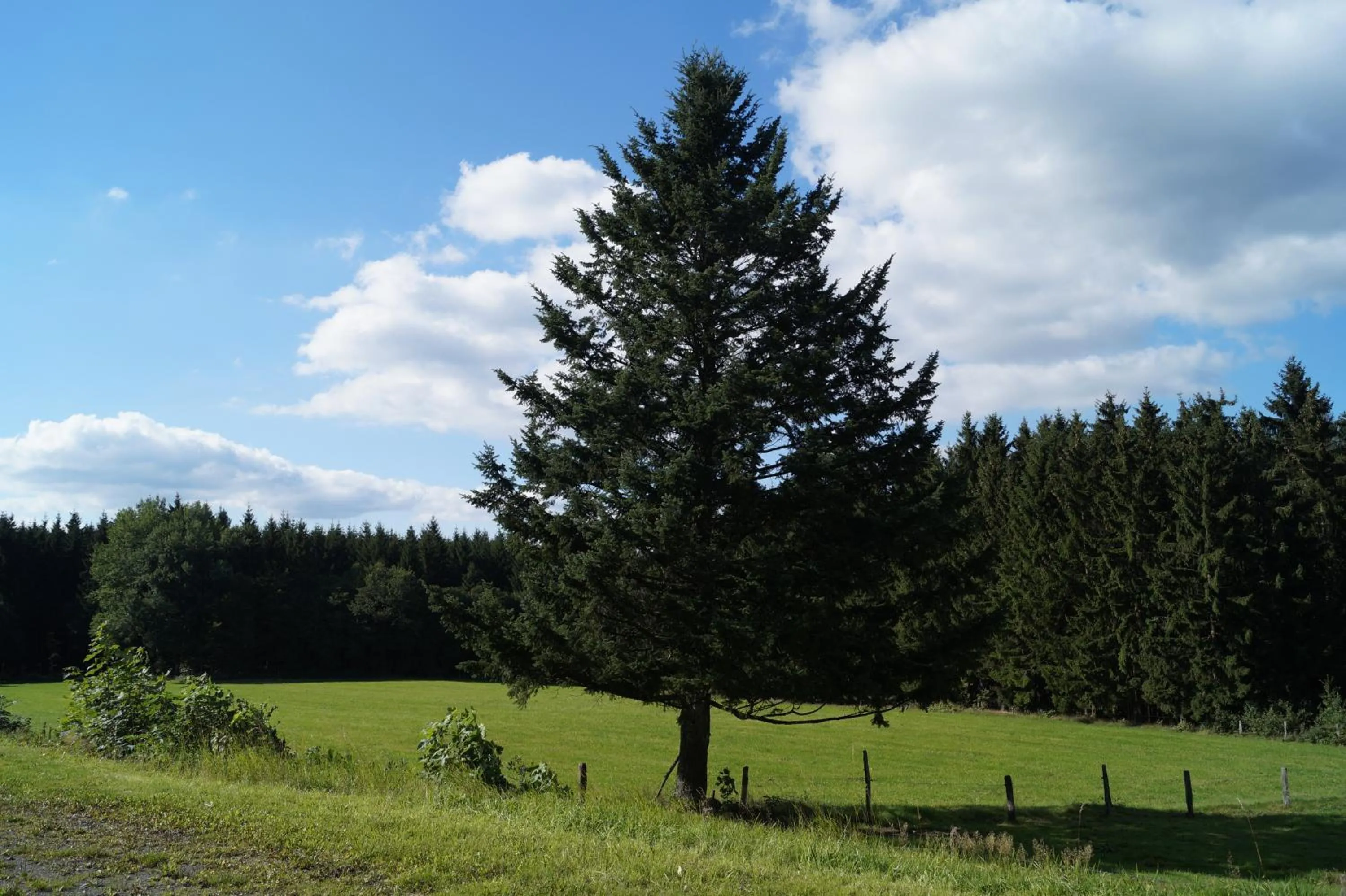 Landgasthof Restaurant Laibach