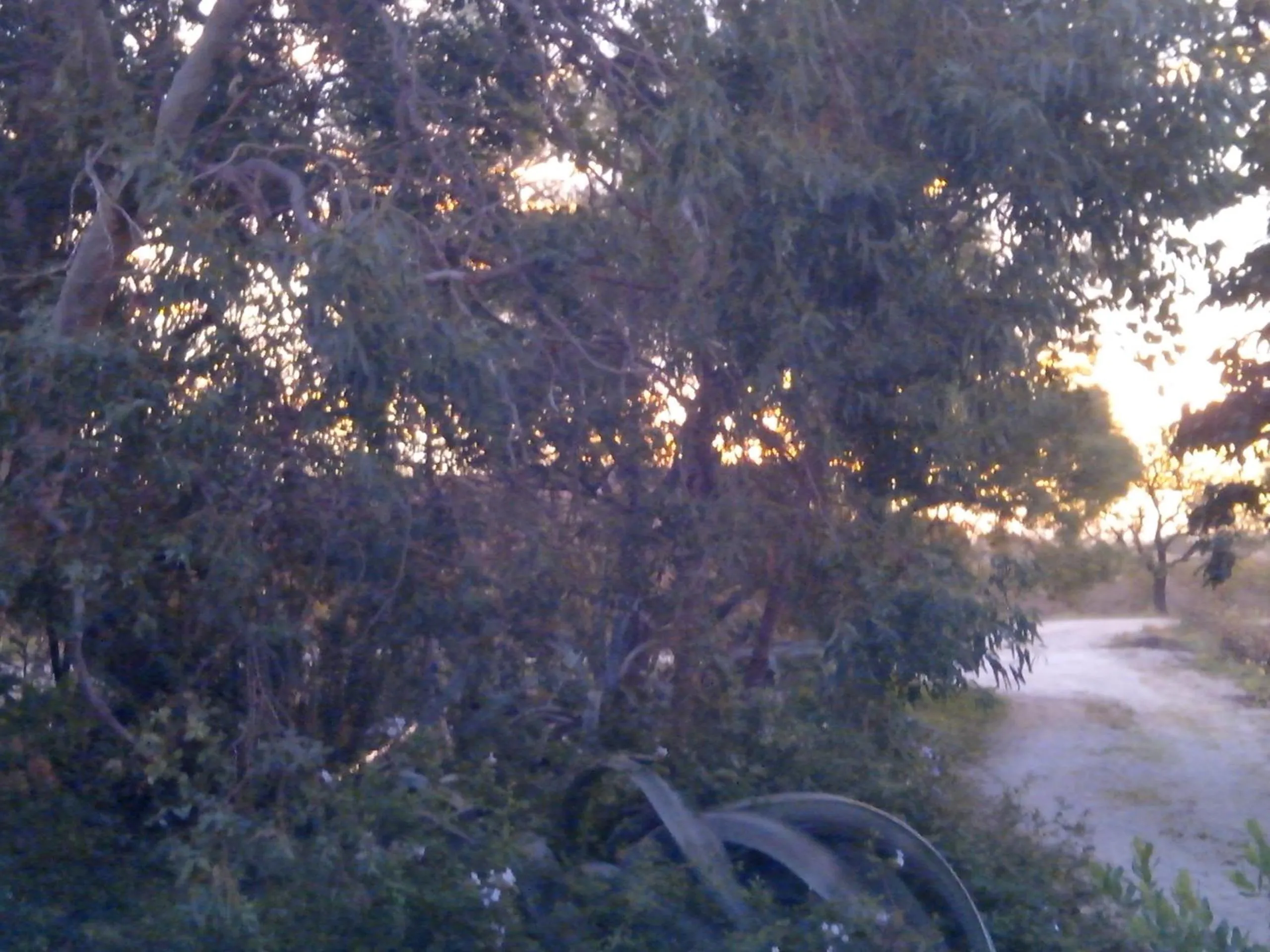 Property building in MAS SOLEIL ET VIGNES