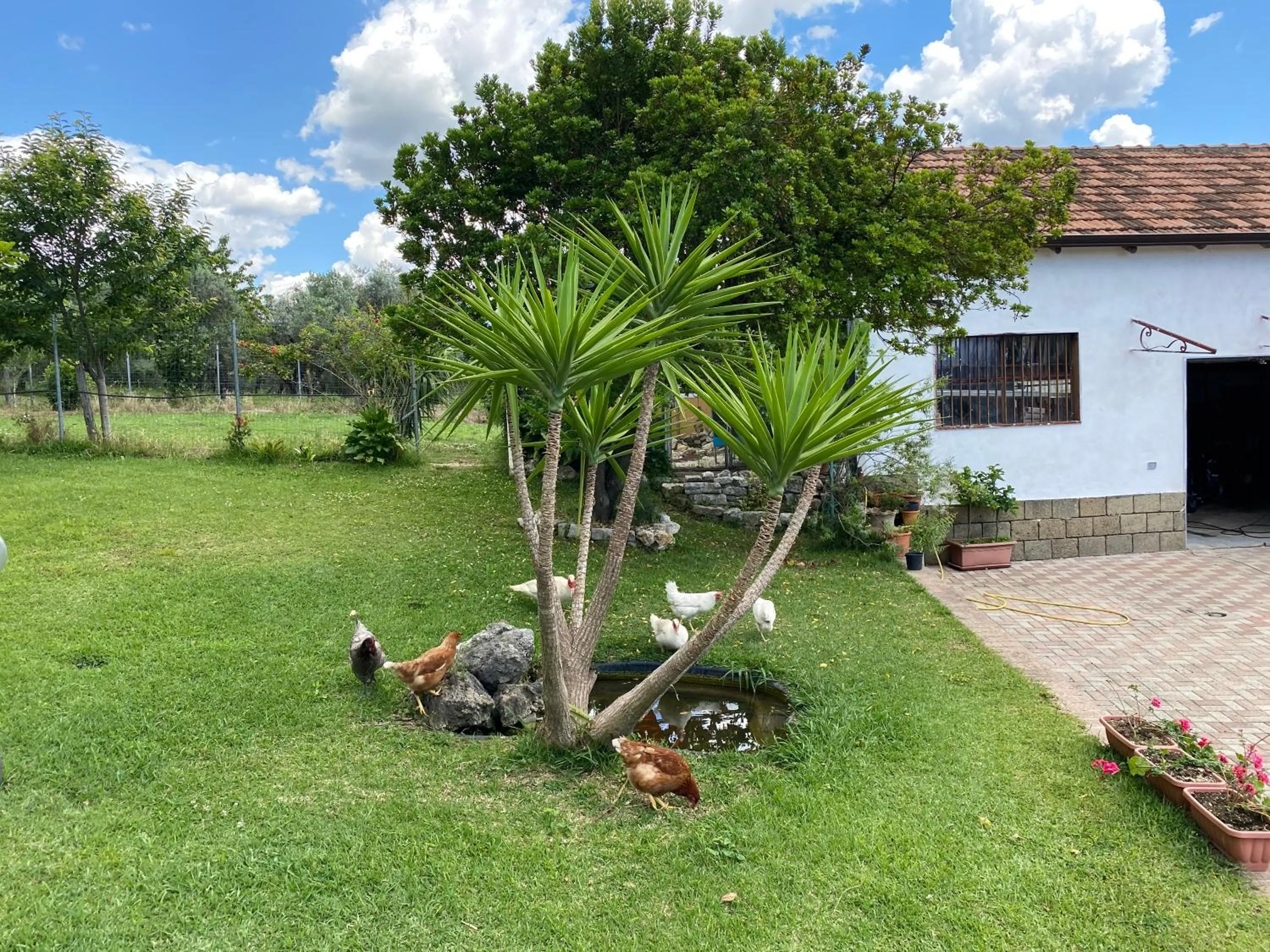 A Casa di nonna Emilia