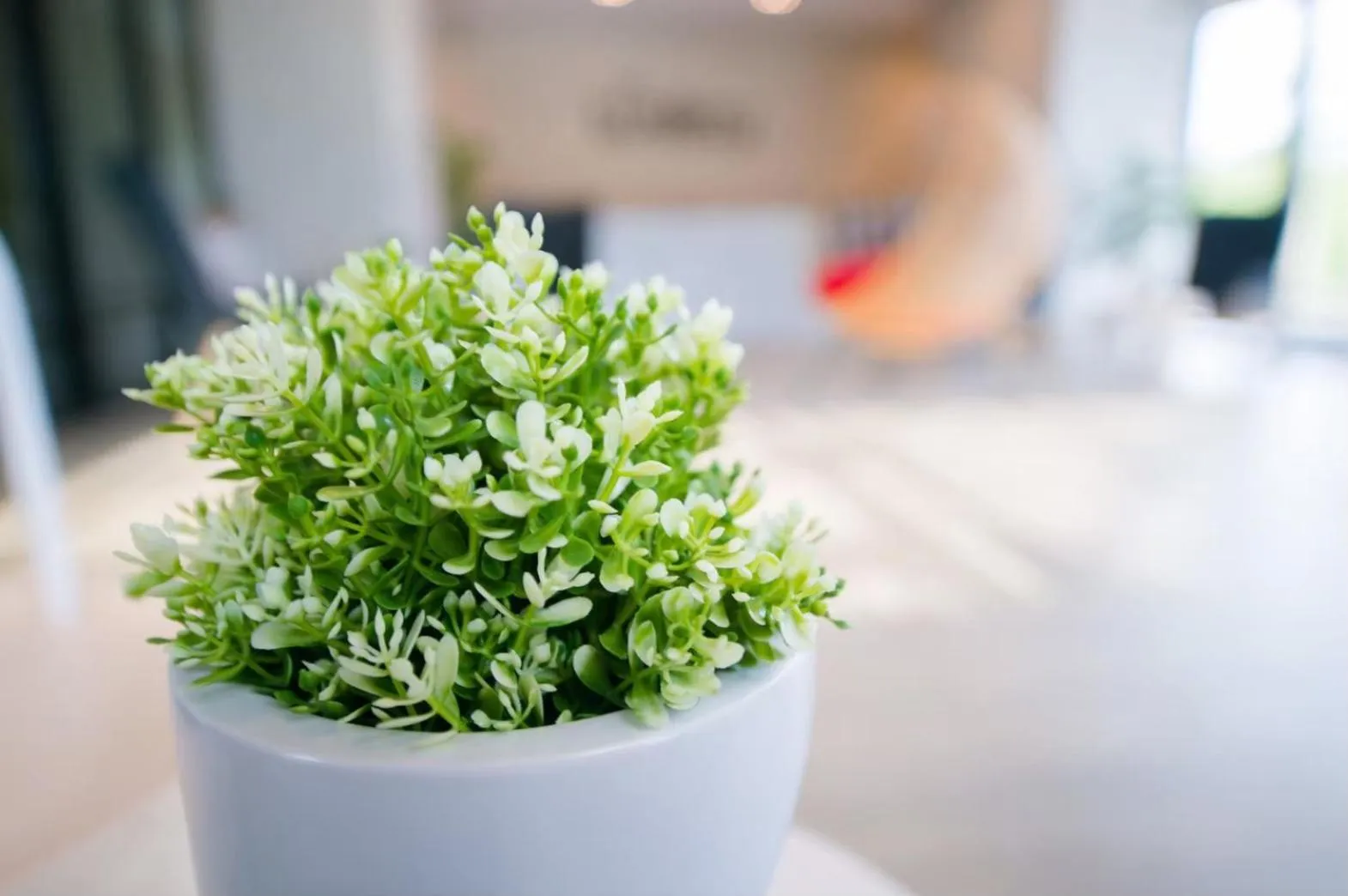 Lobby or reception in The Gallery Hotel Nai Harn