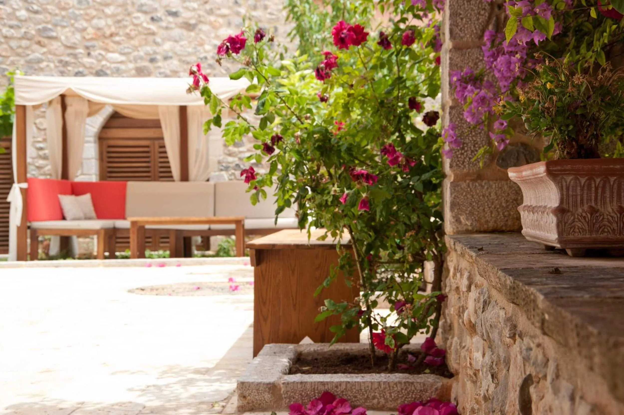 Garden in Archontiko Hatzipanayioti