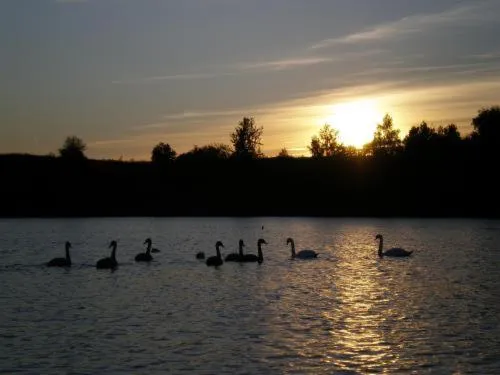 Sunset in Villa Alicante & SPA