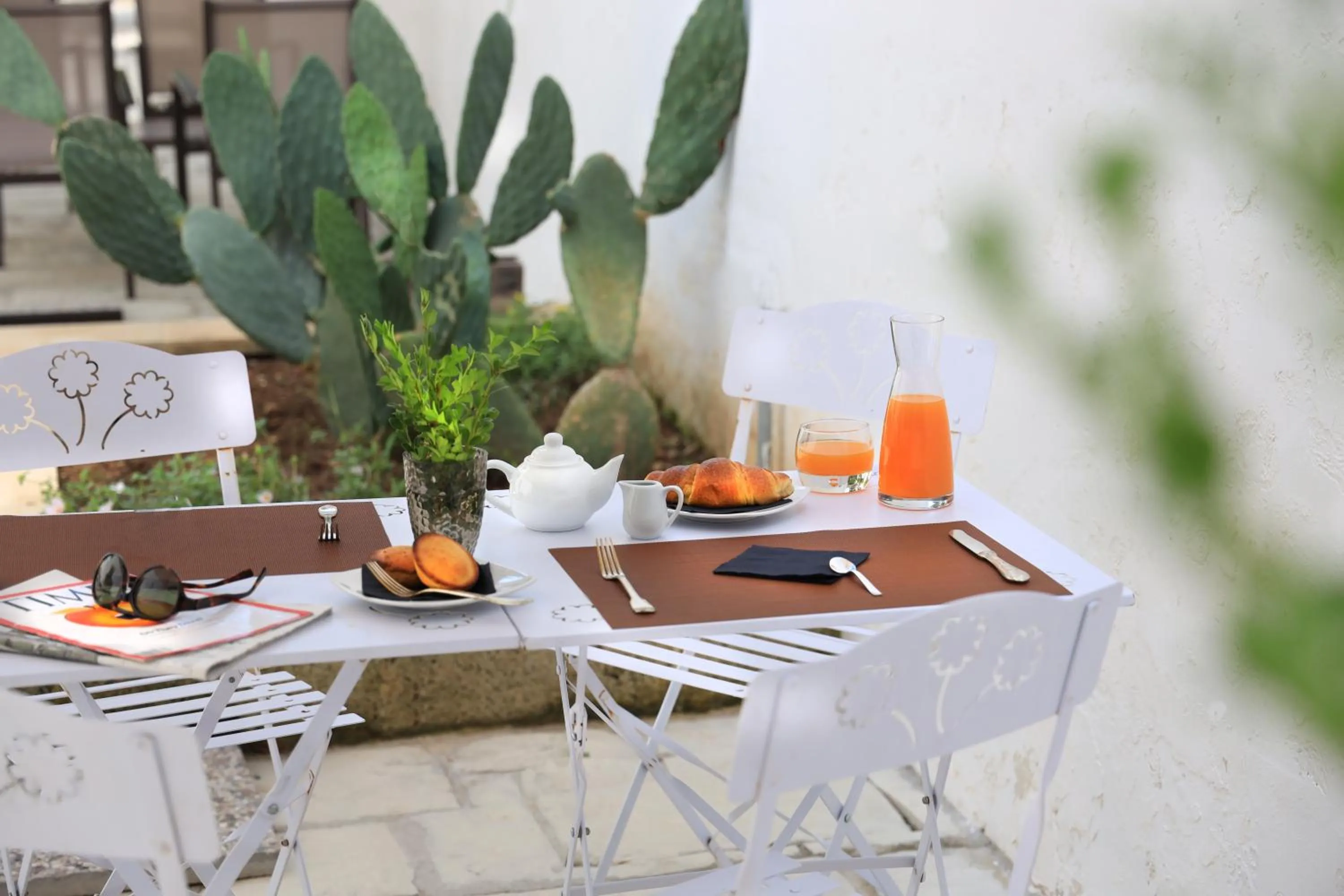 Garden in Palazzo Circolone