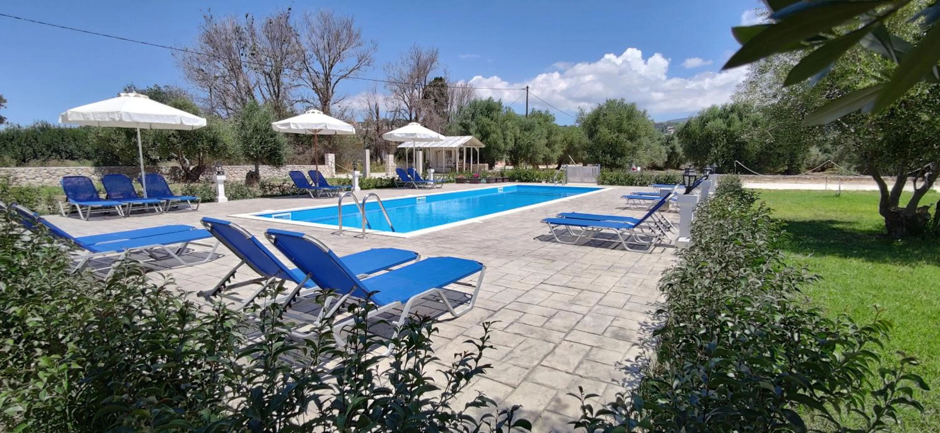 Garden in Casa De Rosa Apartments & Studios