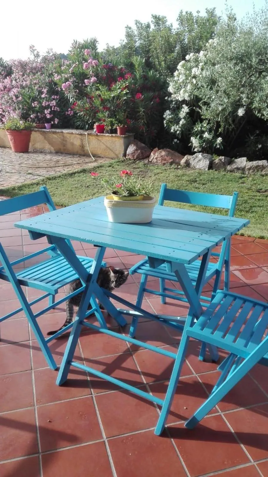 Patio in B&B Il melograno