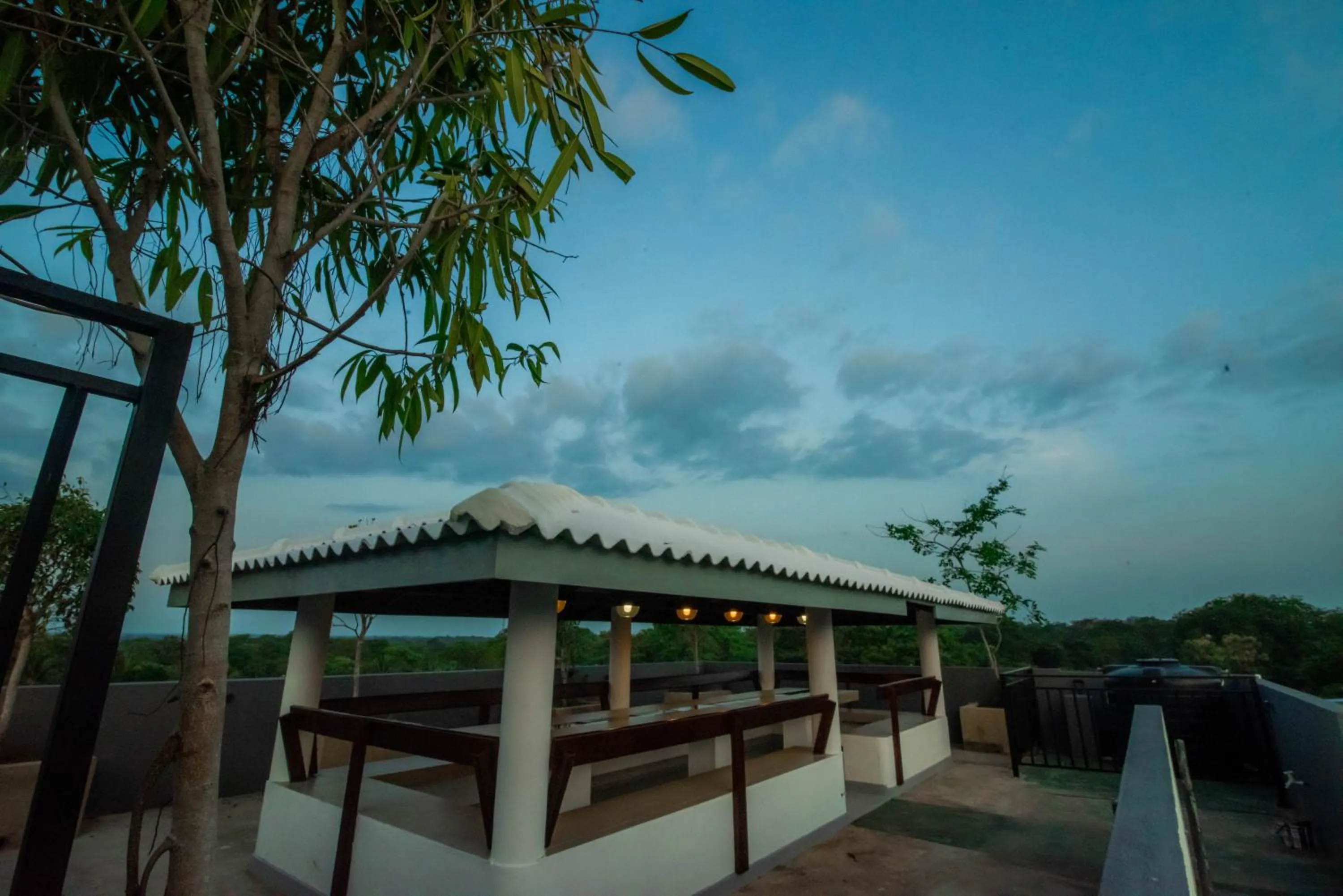 Day in Royal Reach Udawalawe