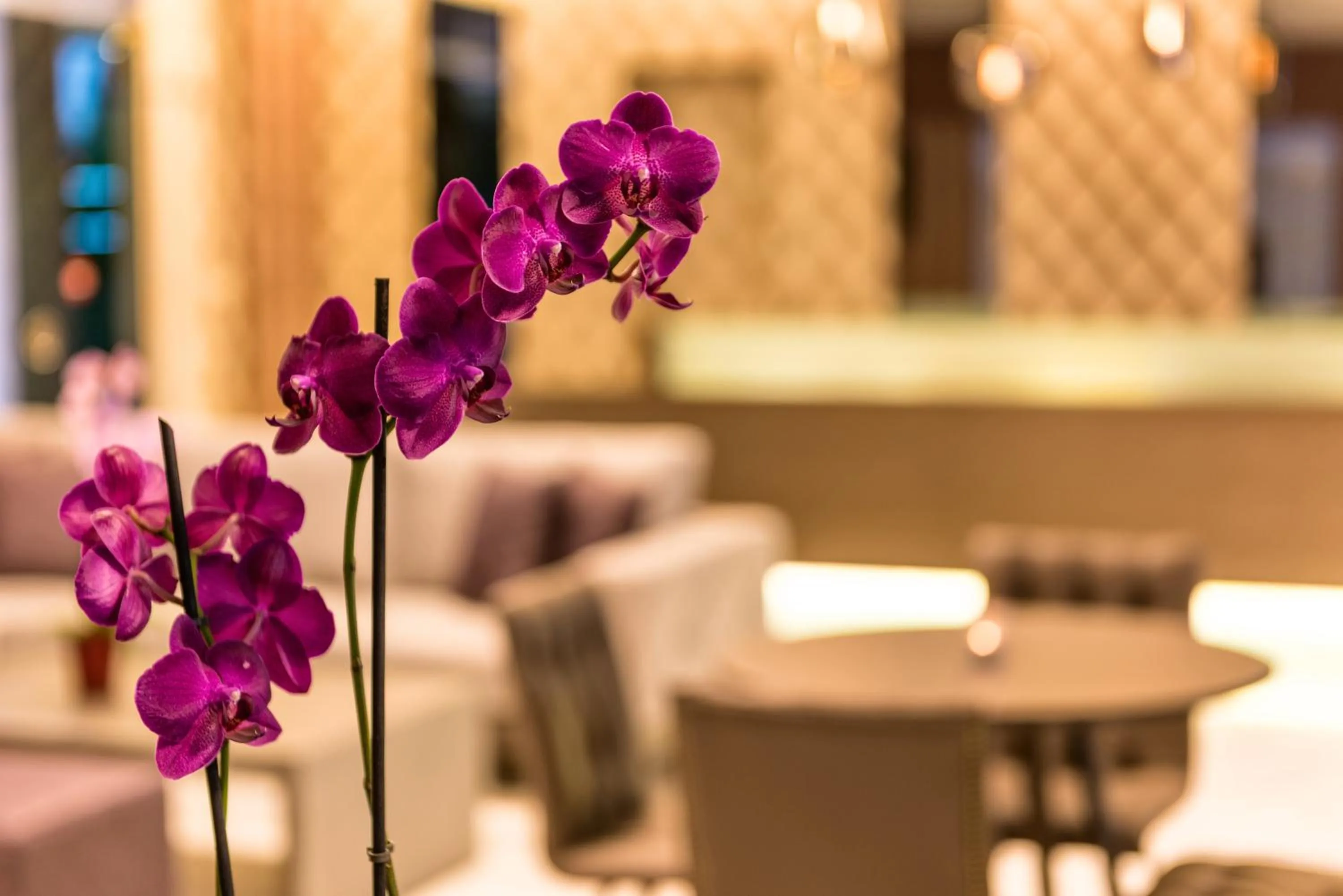 Lobby or reception in Ariadne Hotel