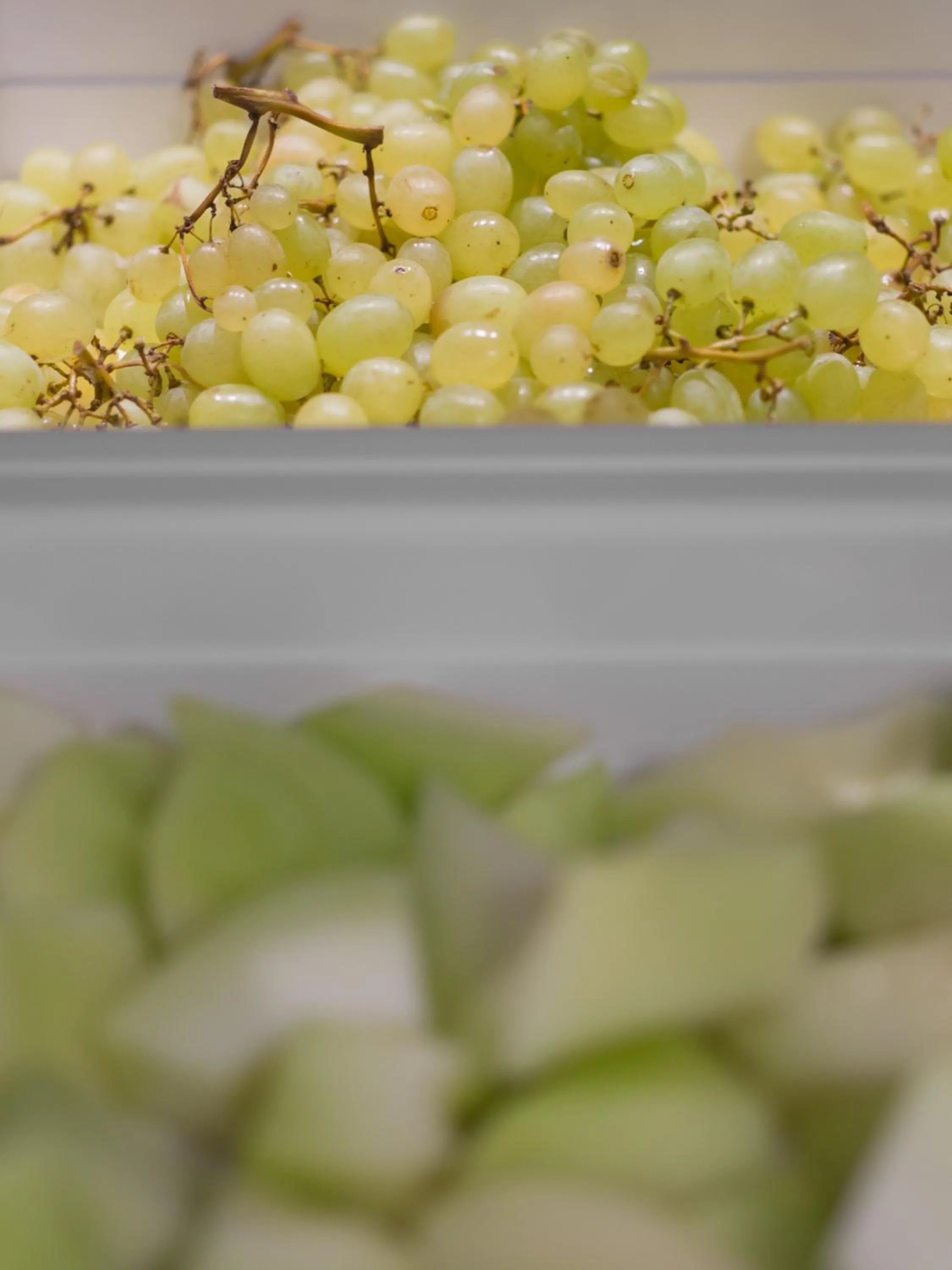 Food in Ariadne Hotel