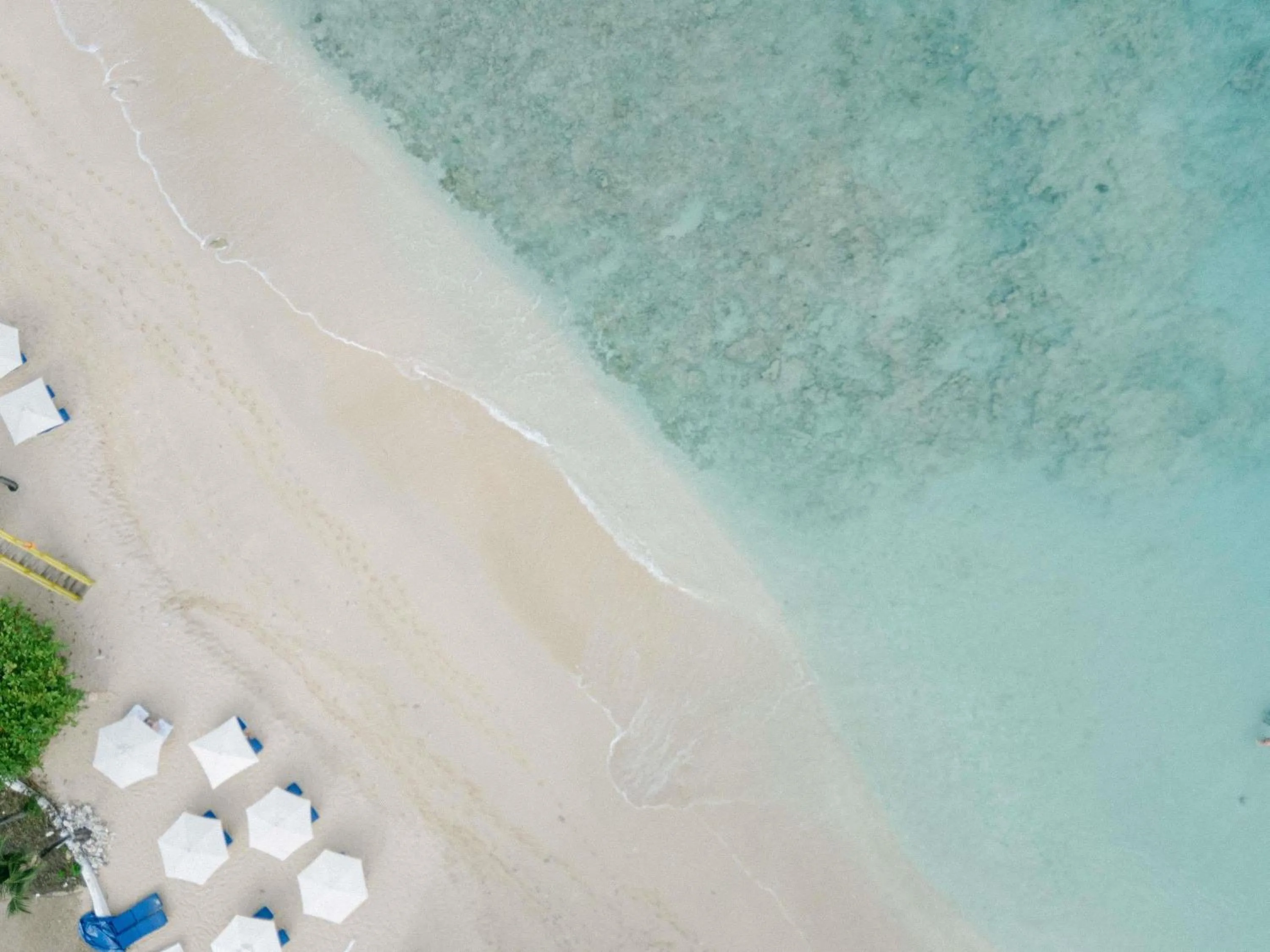 Lounge or bar in Fairmont Royal Pavilion Barbados Resort