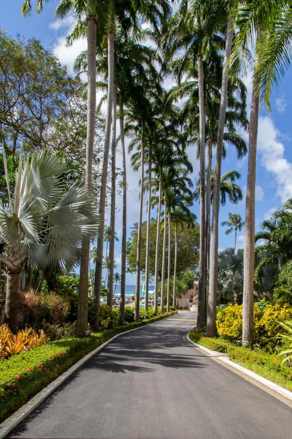 Natural landscape in Fairmont Royal Pavilion Barbados Resort
