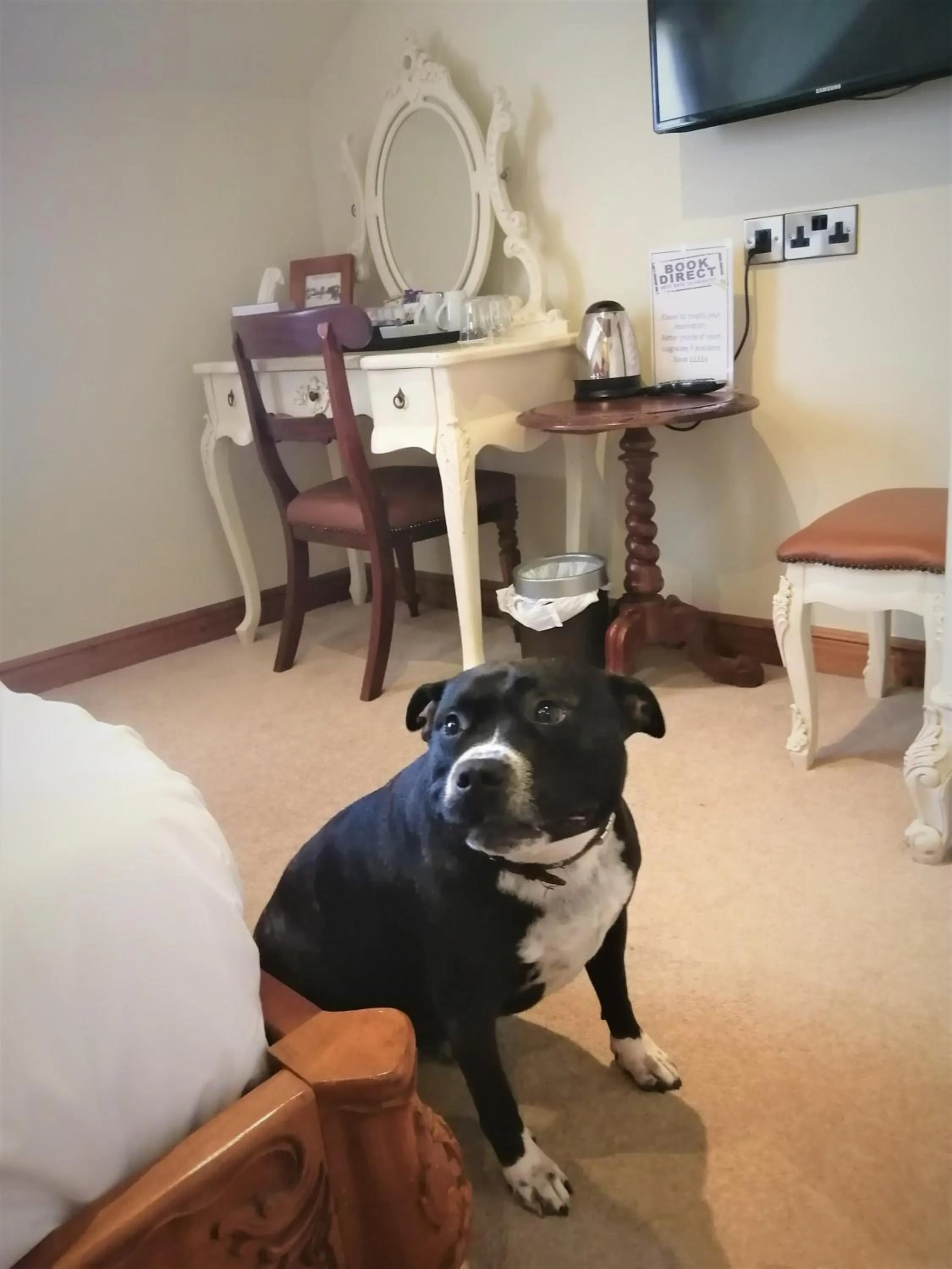 Animals in The Black Swan