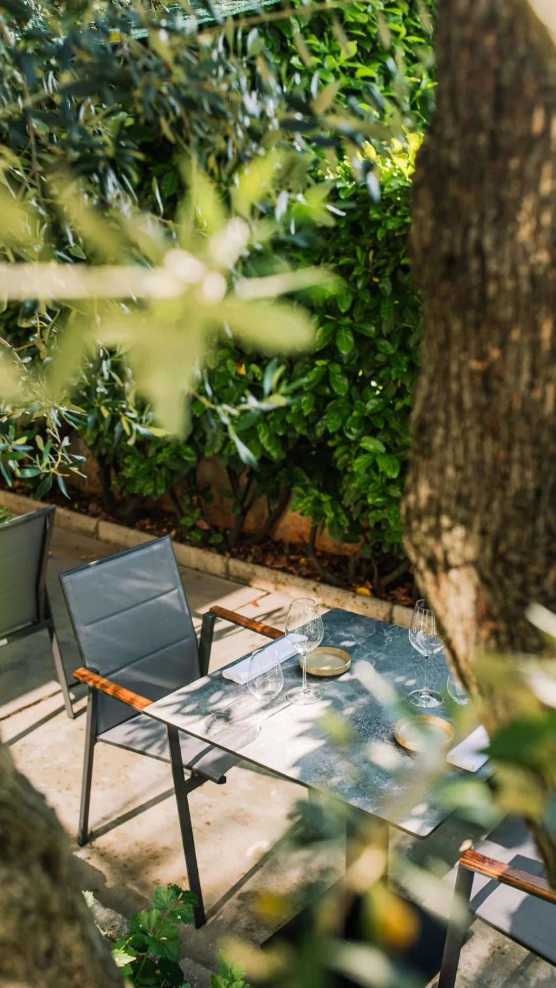 Restaurant/places to eat in Hotel Vila Rova