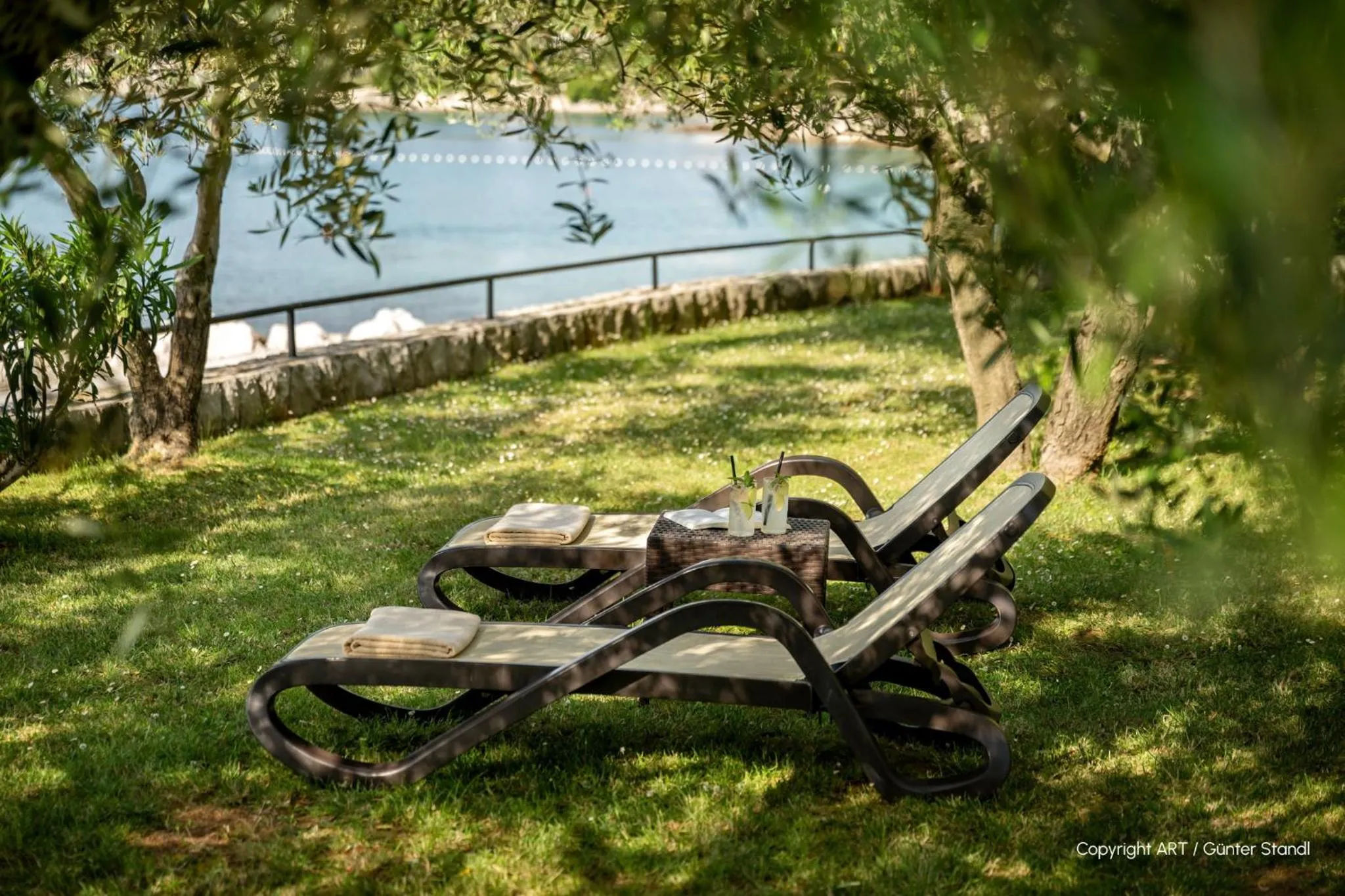 Garden in Hotel Vila Rova