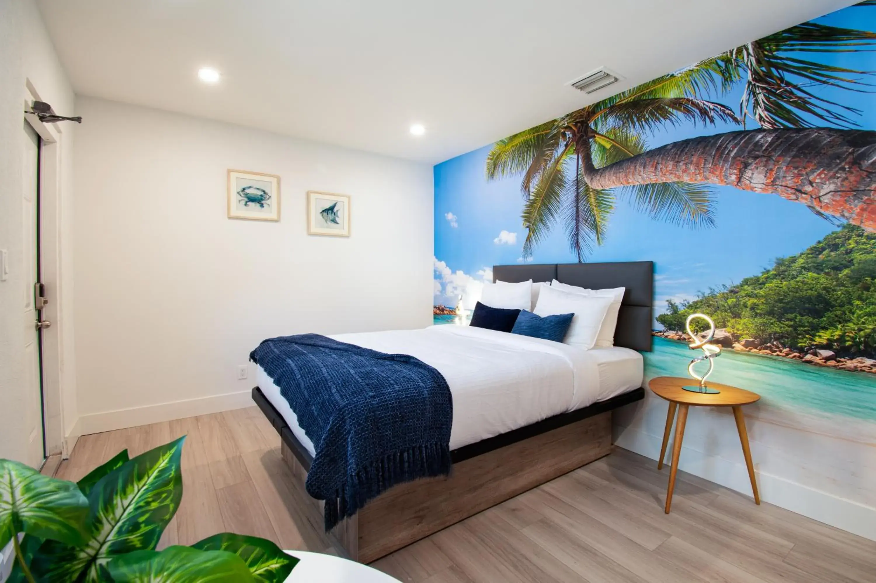 Deluxe Queen Studio - single occupancy in The Lauderdale Boutique Hotel Deluxe Queen Studio - single occupancy in The Lauderdale Boutique Hotel