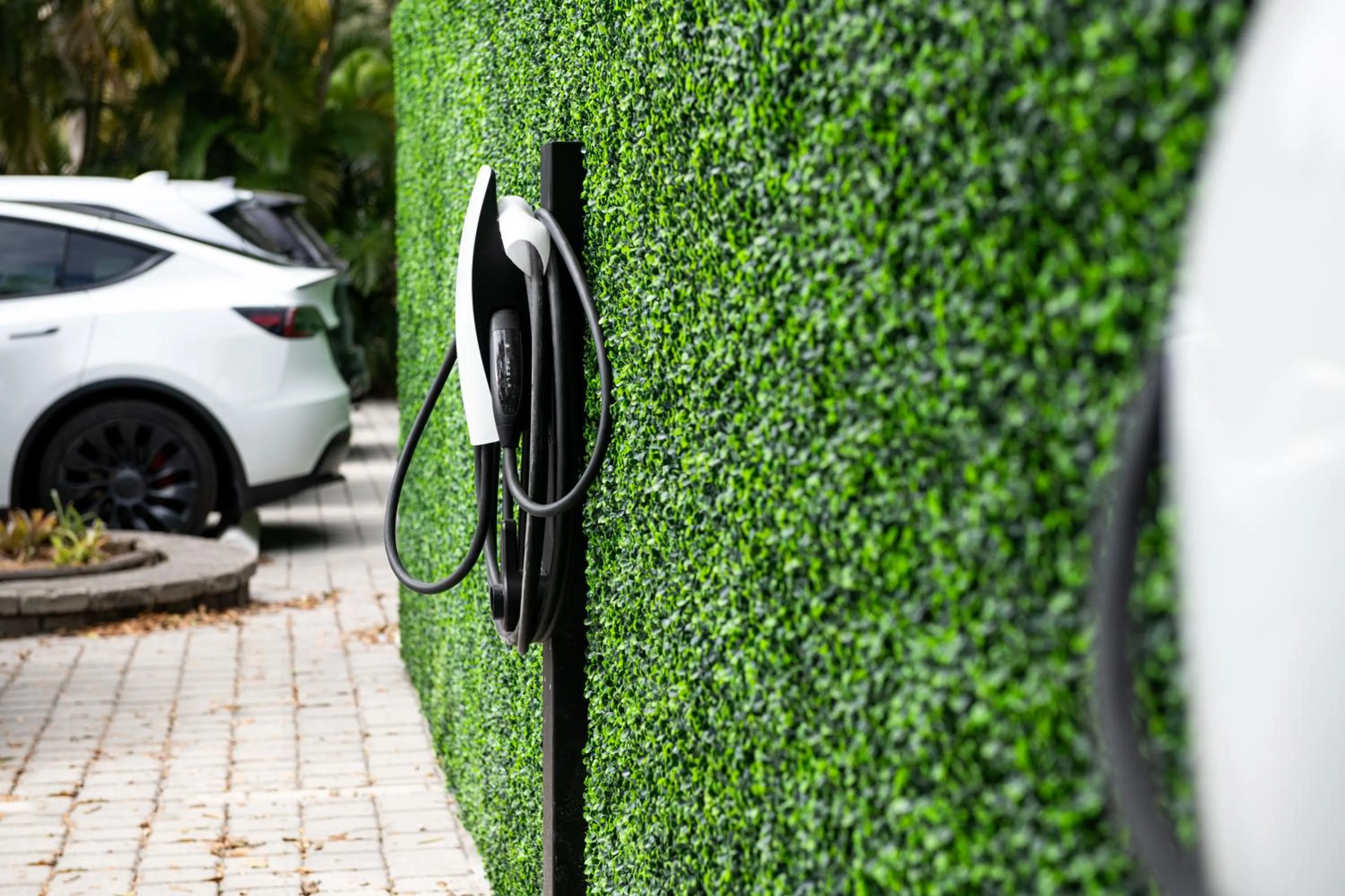 The Lauderdale Boutique Hotel