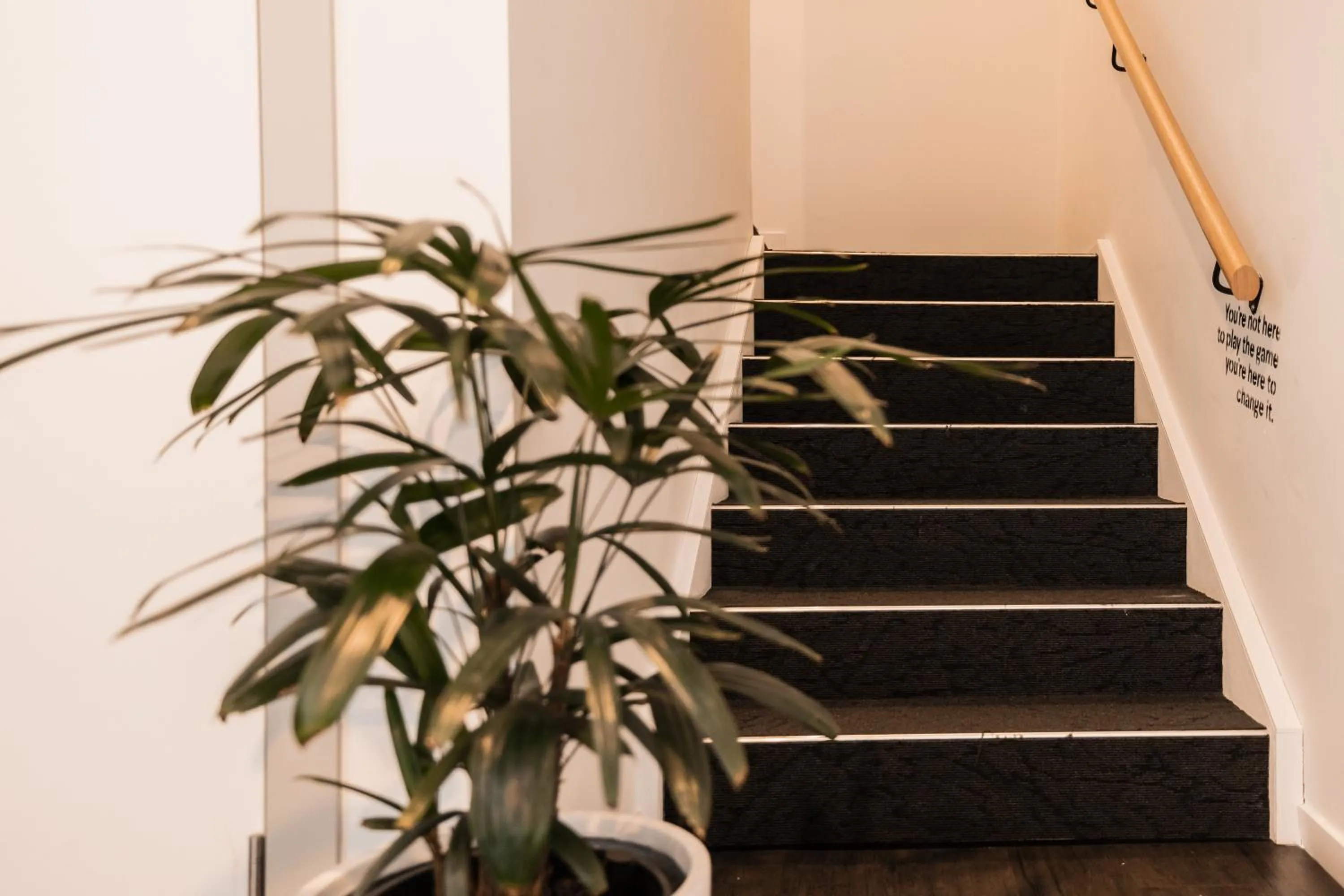 Property building in Change Overnight