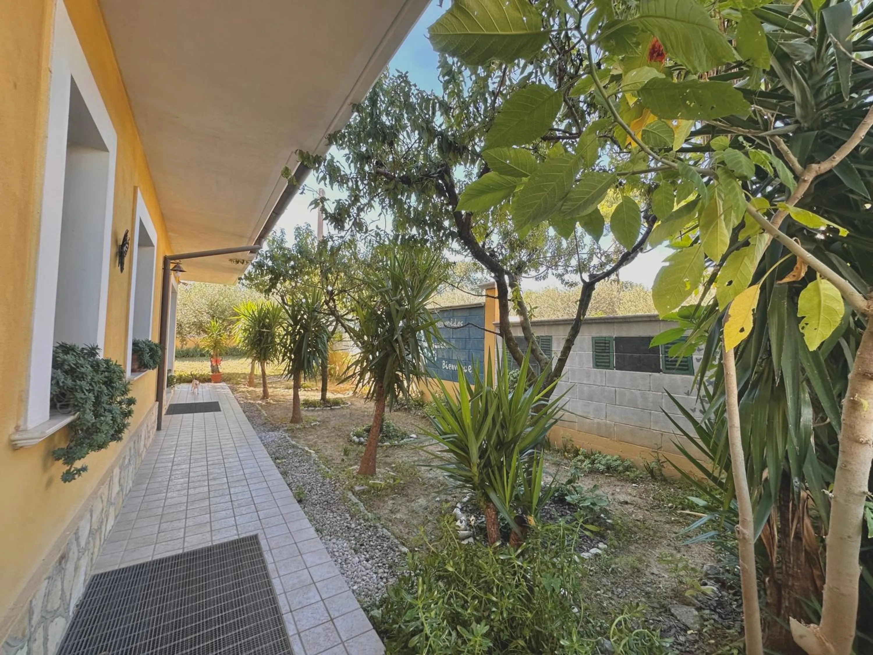 Garden in B&B Mariposa