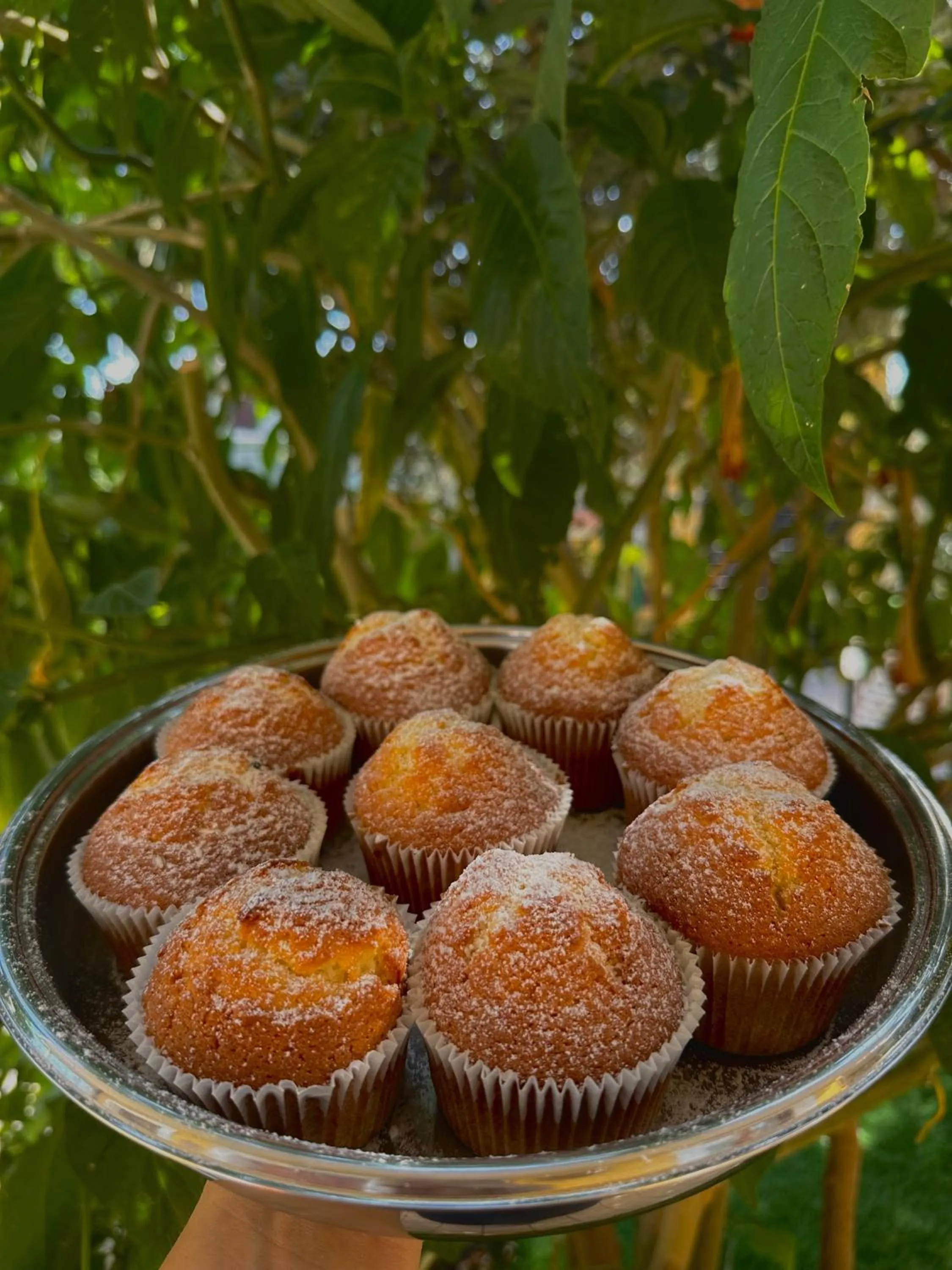 Breakfast in B&B Mariposa