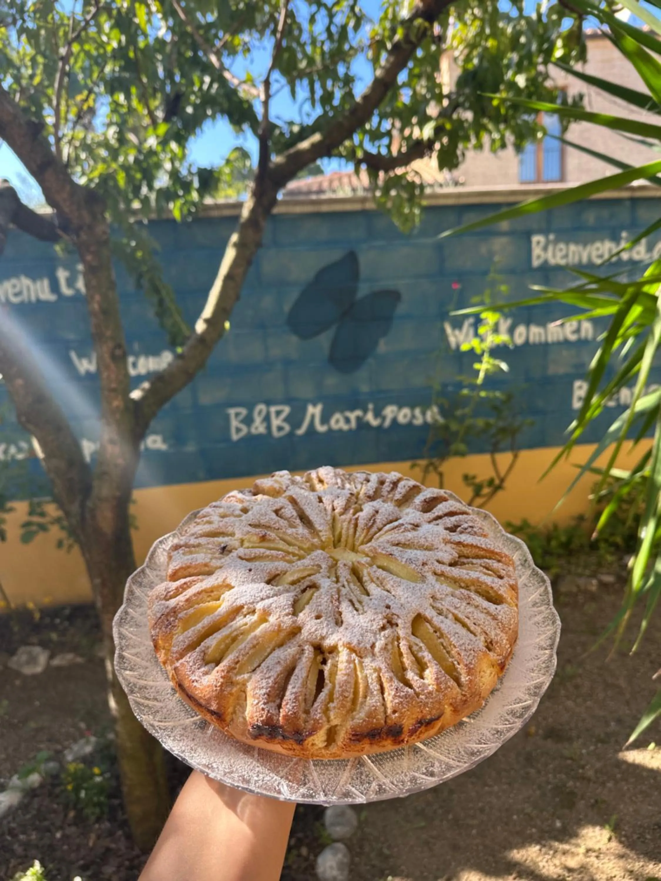 Breakfast in B&B Mariposa