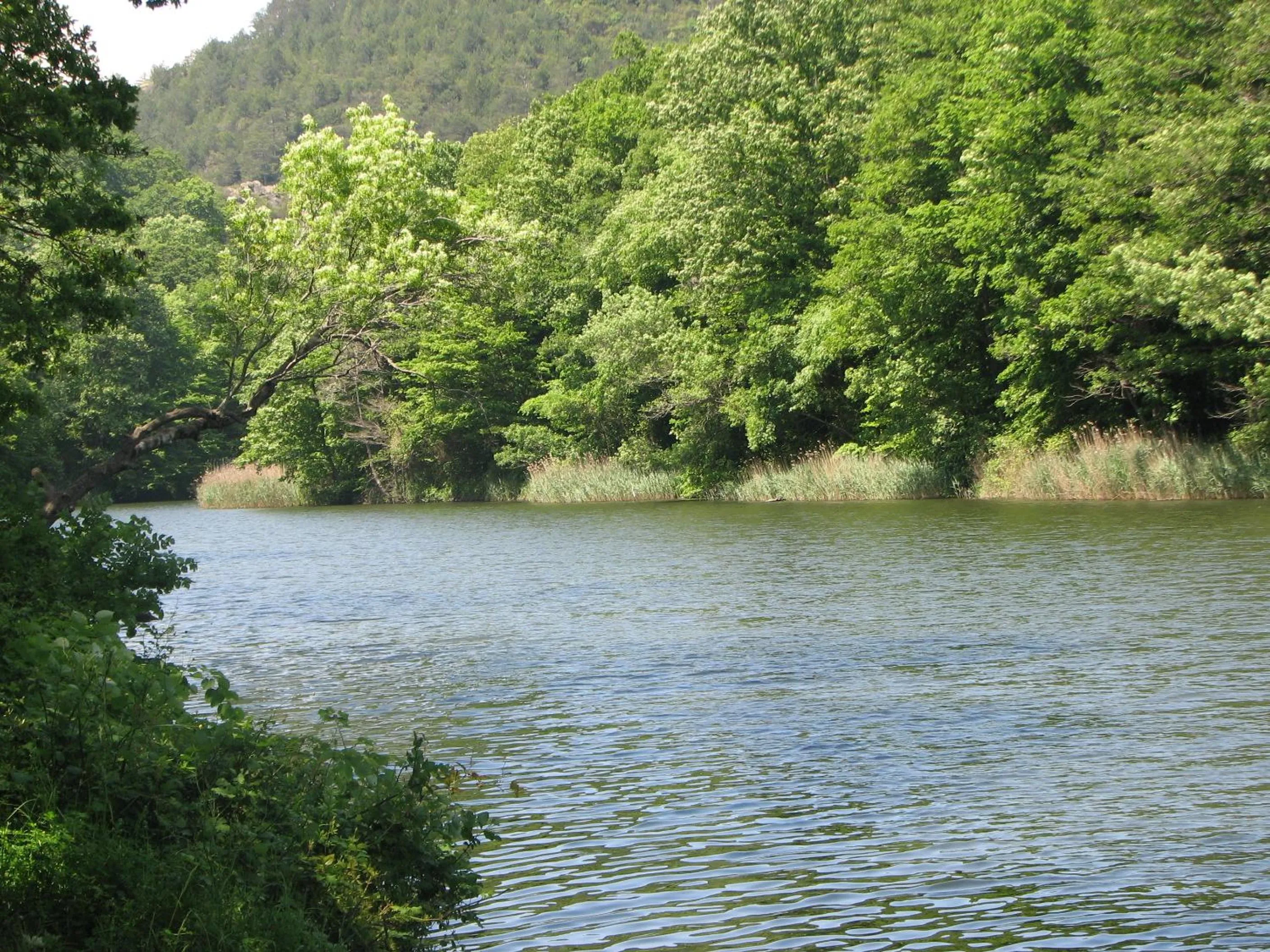 Nearby landmark in Elite Hotel City Center Saray Bed and Breakfast