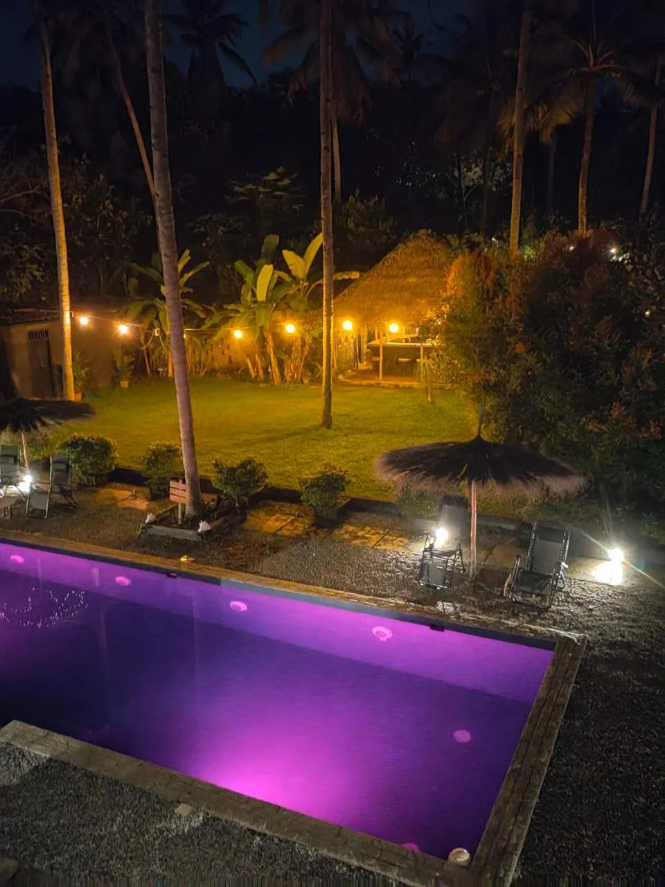 Garden in Satta Beach Deluxe