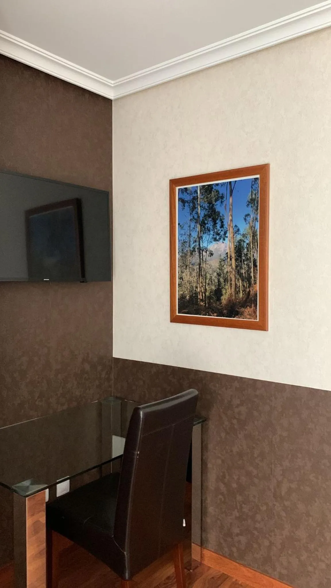 TV and multimedia in Hotel Verdemar