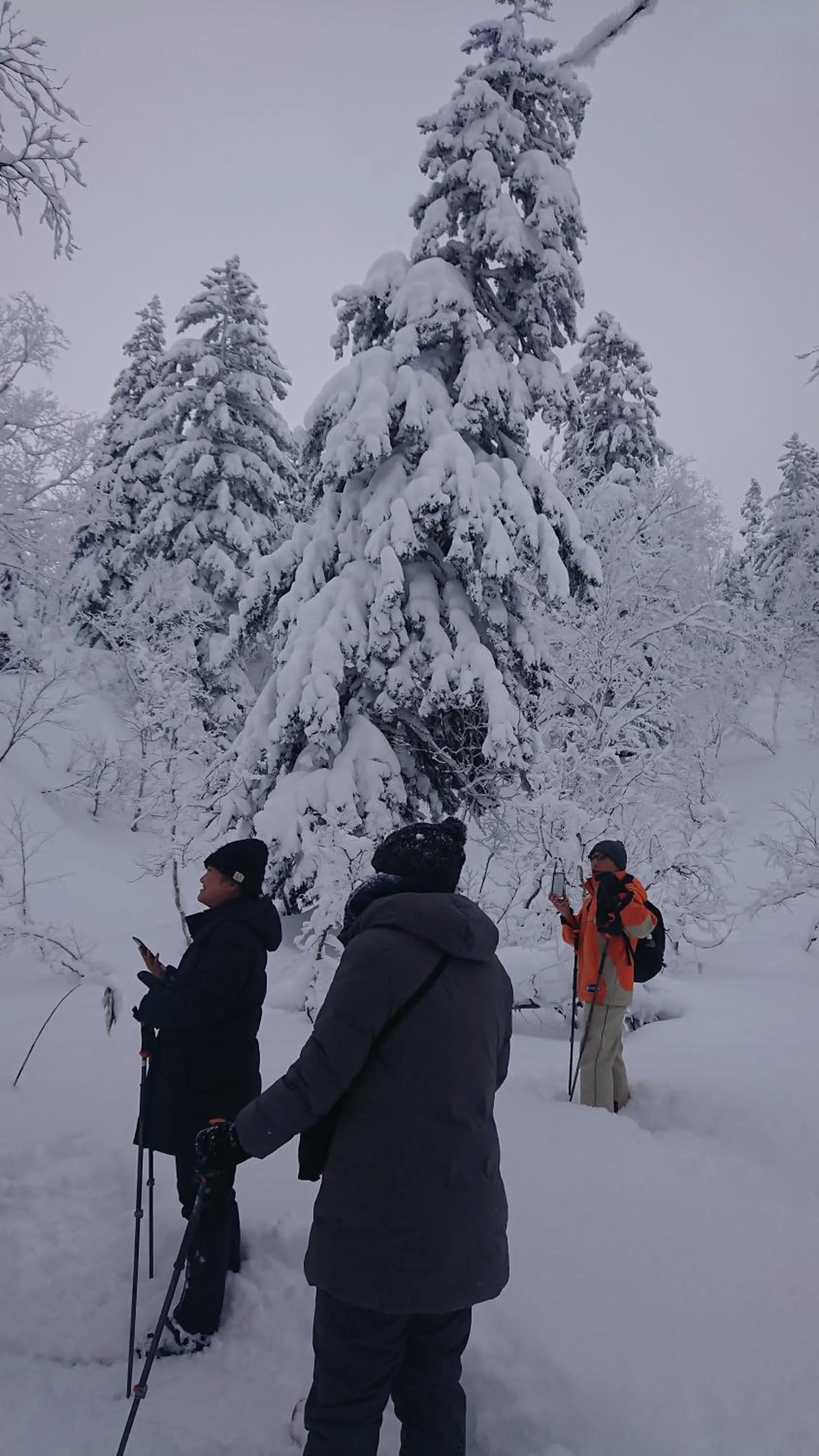 K's House Hokkaido - Asahidake Onsen Hostel