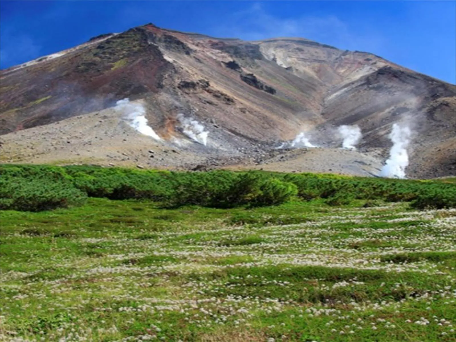 Other in K's House Hokkaido - Asahidake Onsen Hostel