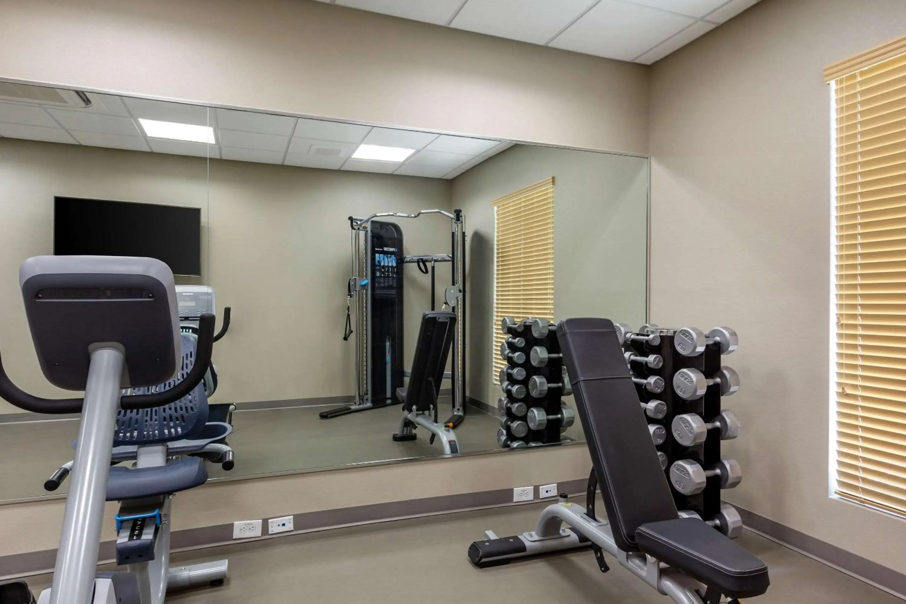 Fitness centre/facilities in Sleep Inn & Suites Tampa South