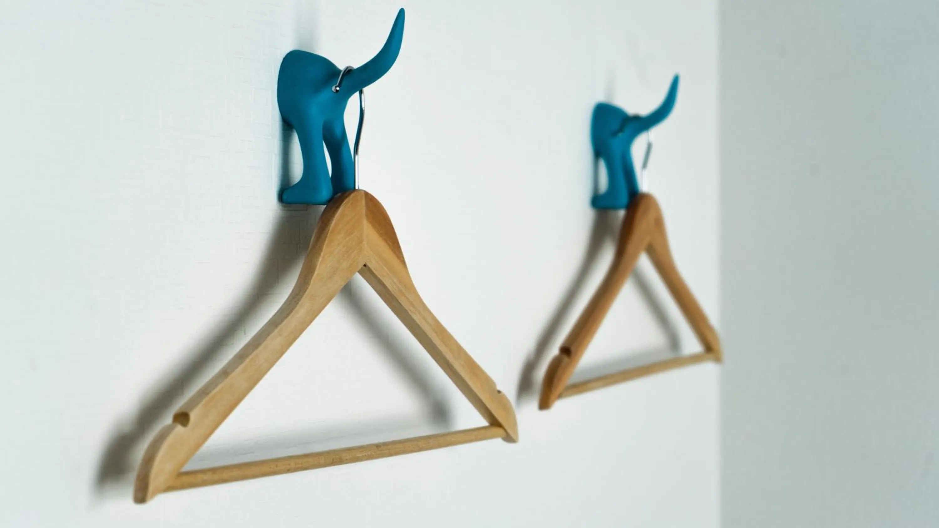 Photo of the whole room in Fuji Guest House Ao