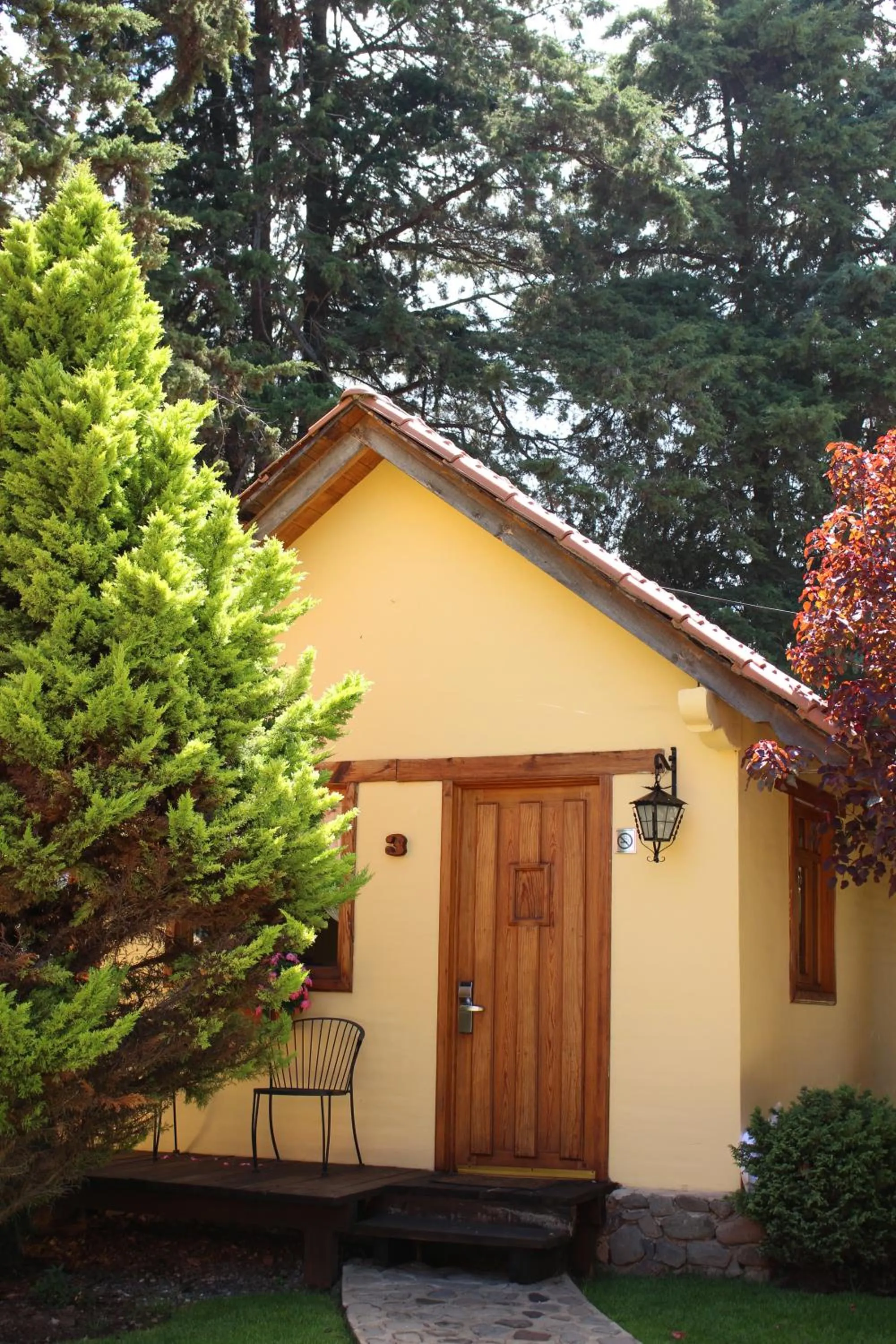 Photo of the whole room in Cabañas Sierra Mazamitla
