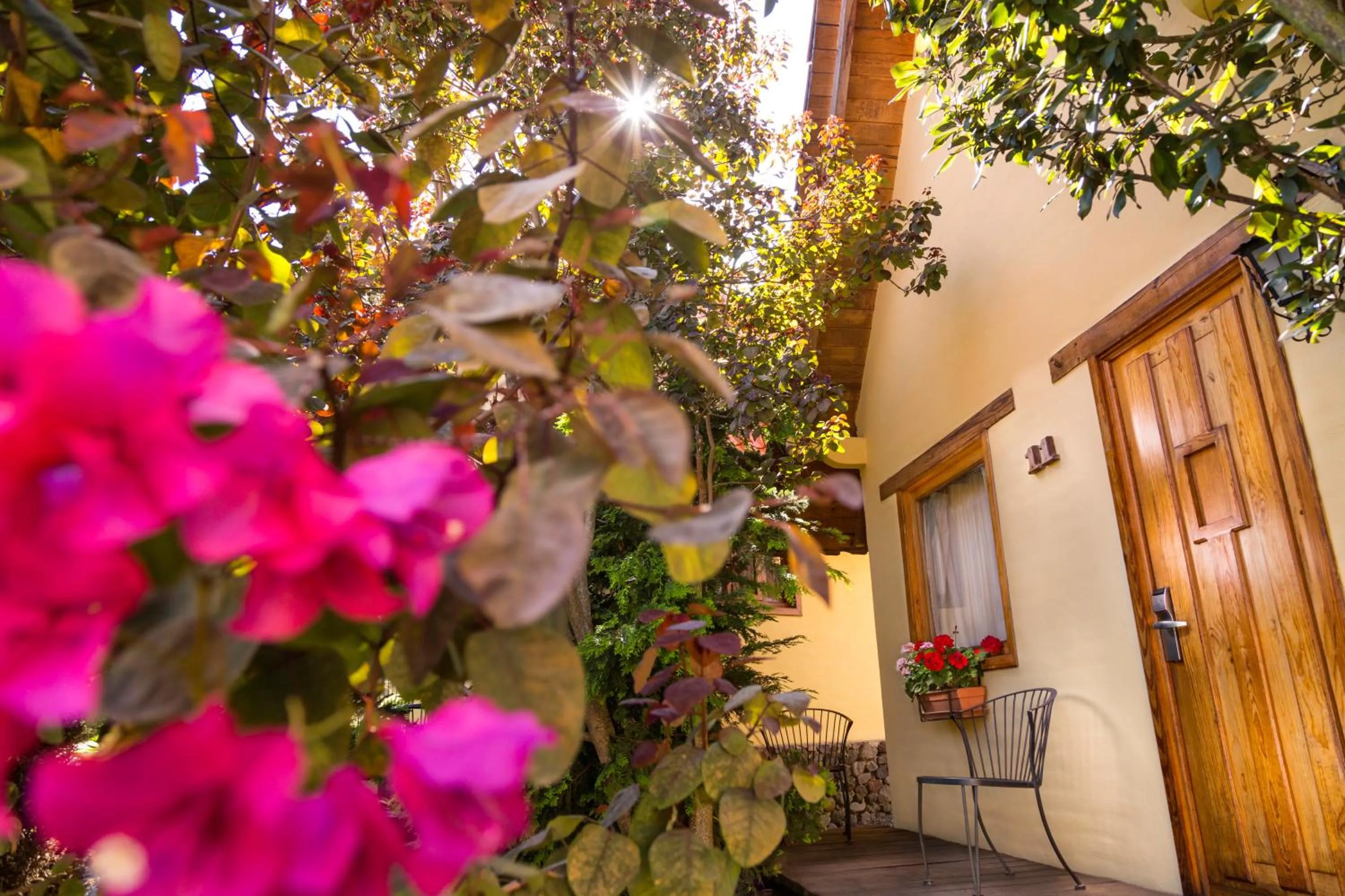 Cabañas Sierra Mazamitla