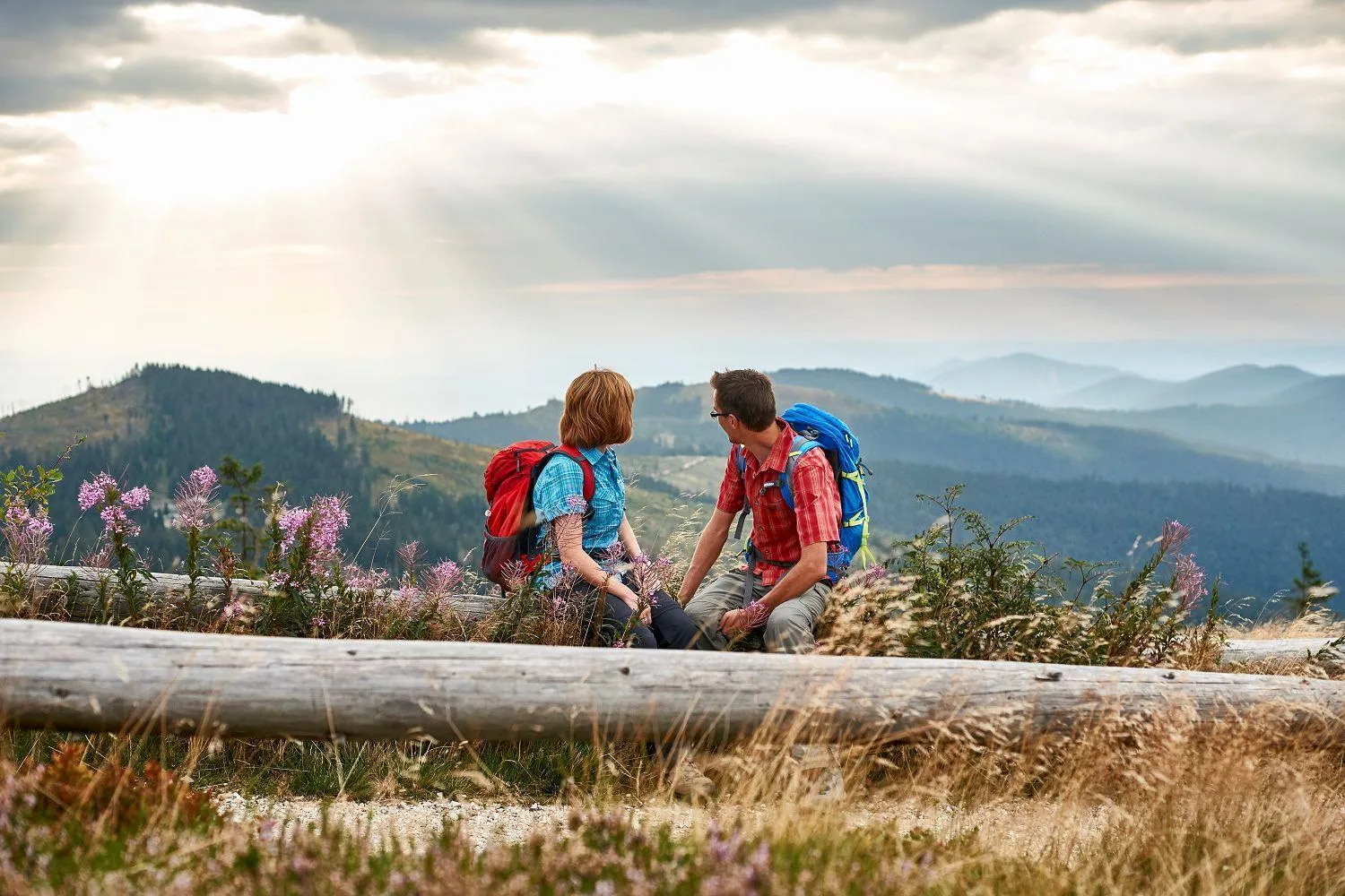 Hiking in Natura Hotel Bodenmais - inkl Soft- und Heißgetränkeflat