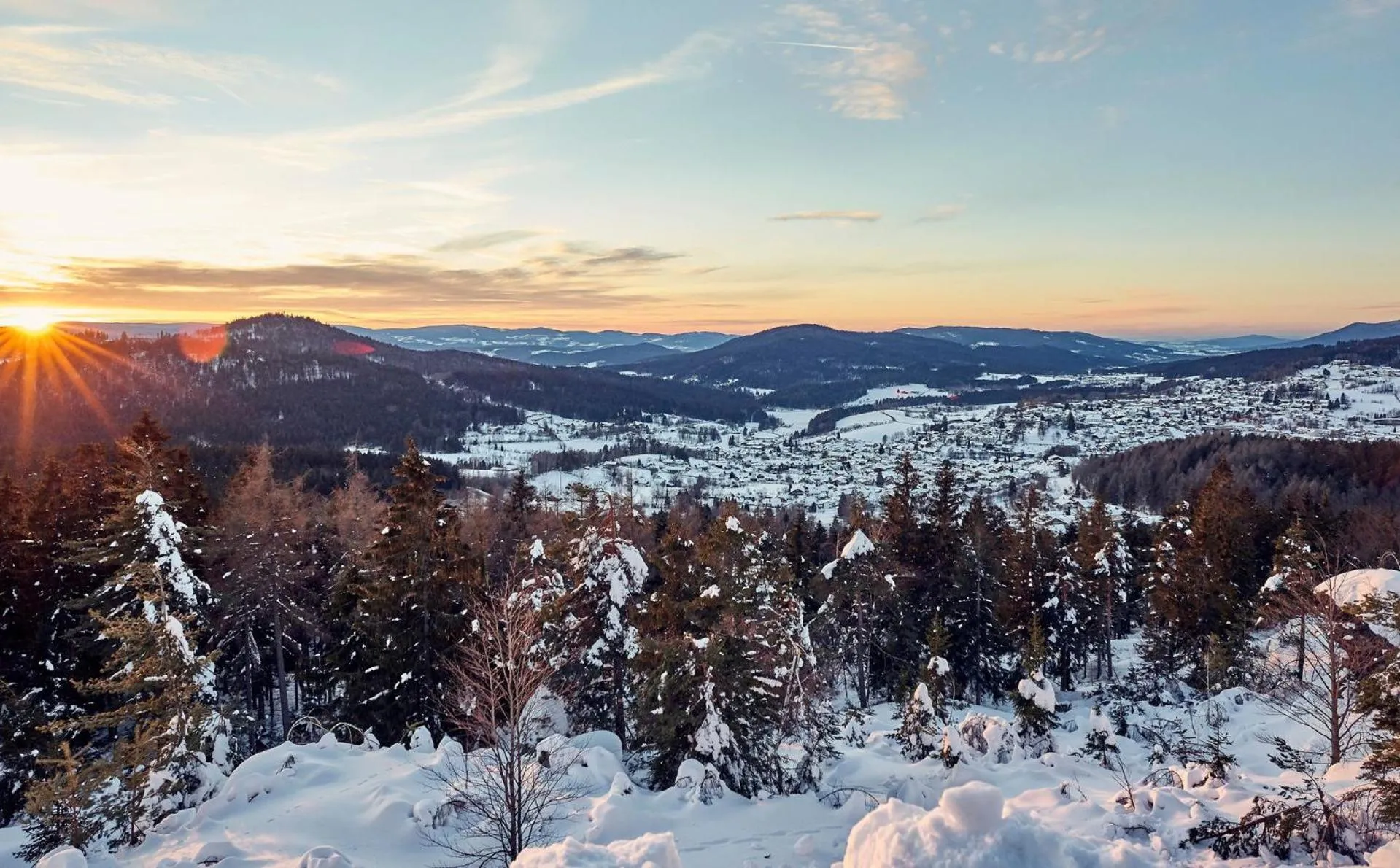 Natural landscape in Natura Hotel Bodenmais - inkl Soft- und Heißgetränkeflat