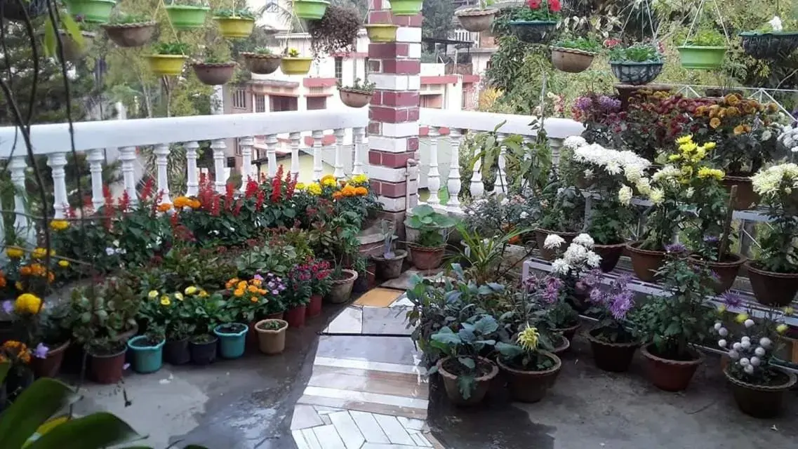 Family Room with Terrace in Madhumita Homestay Family Room with Terrace in Madhumita Homestay