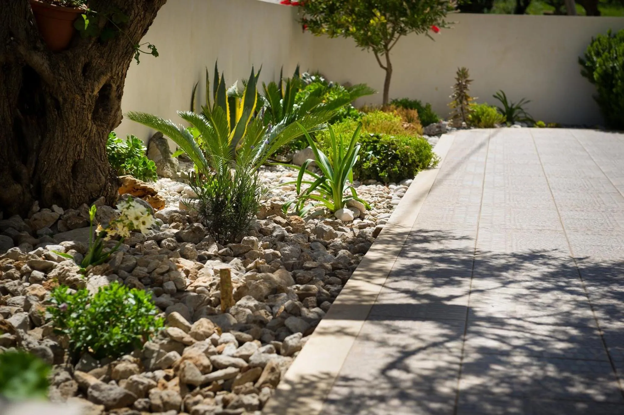 Garden in Al Cantuccio