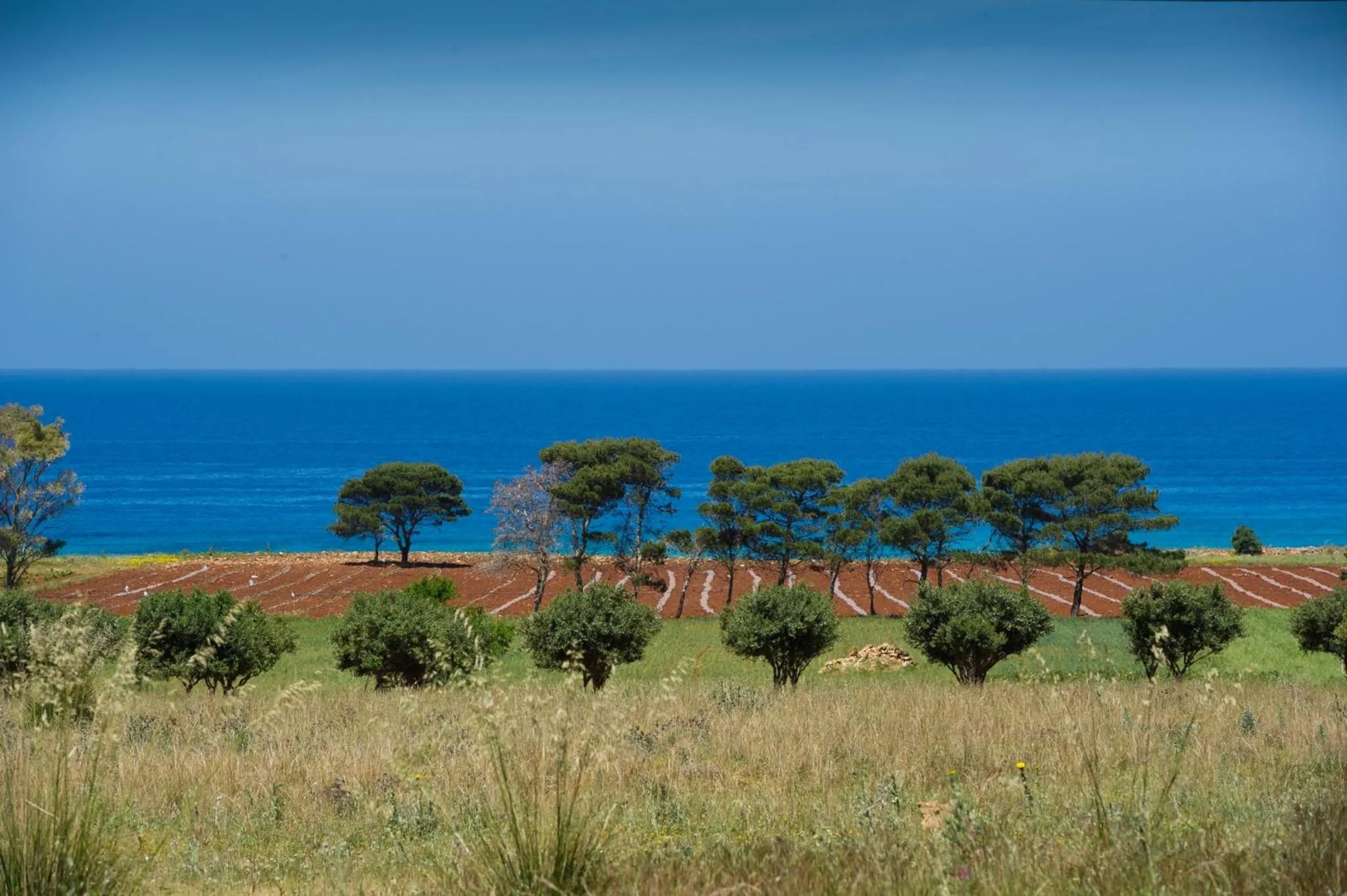 Natural landscape in Al Cantuccio
