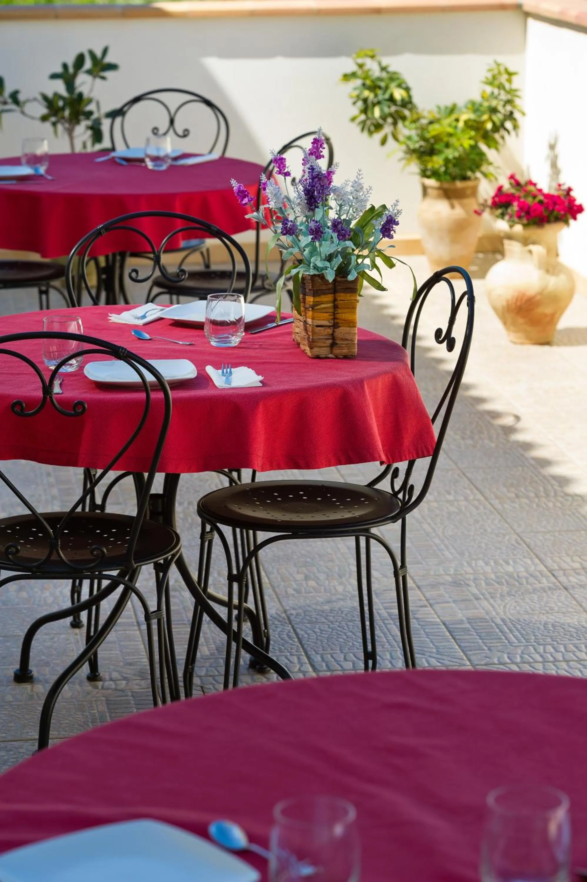 Area and facilities in Al Cantuccio