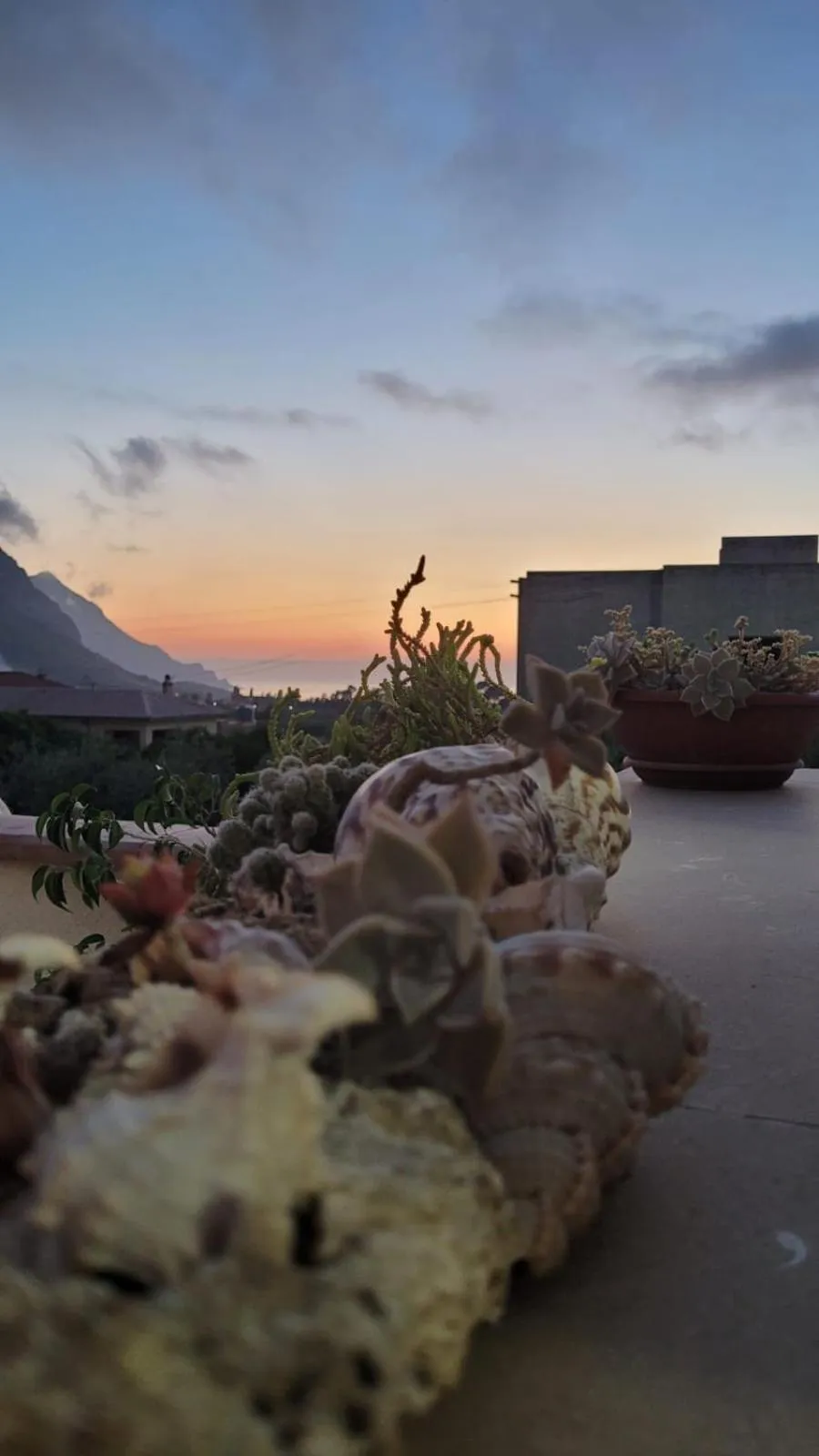 View (from property/room) in Al Cantuccio