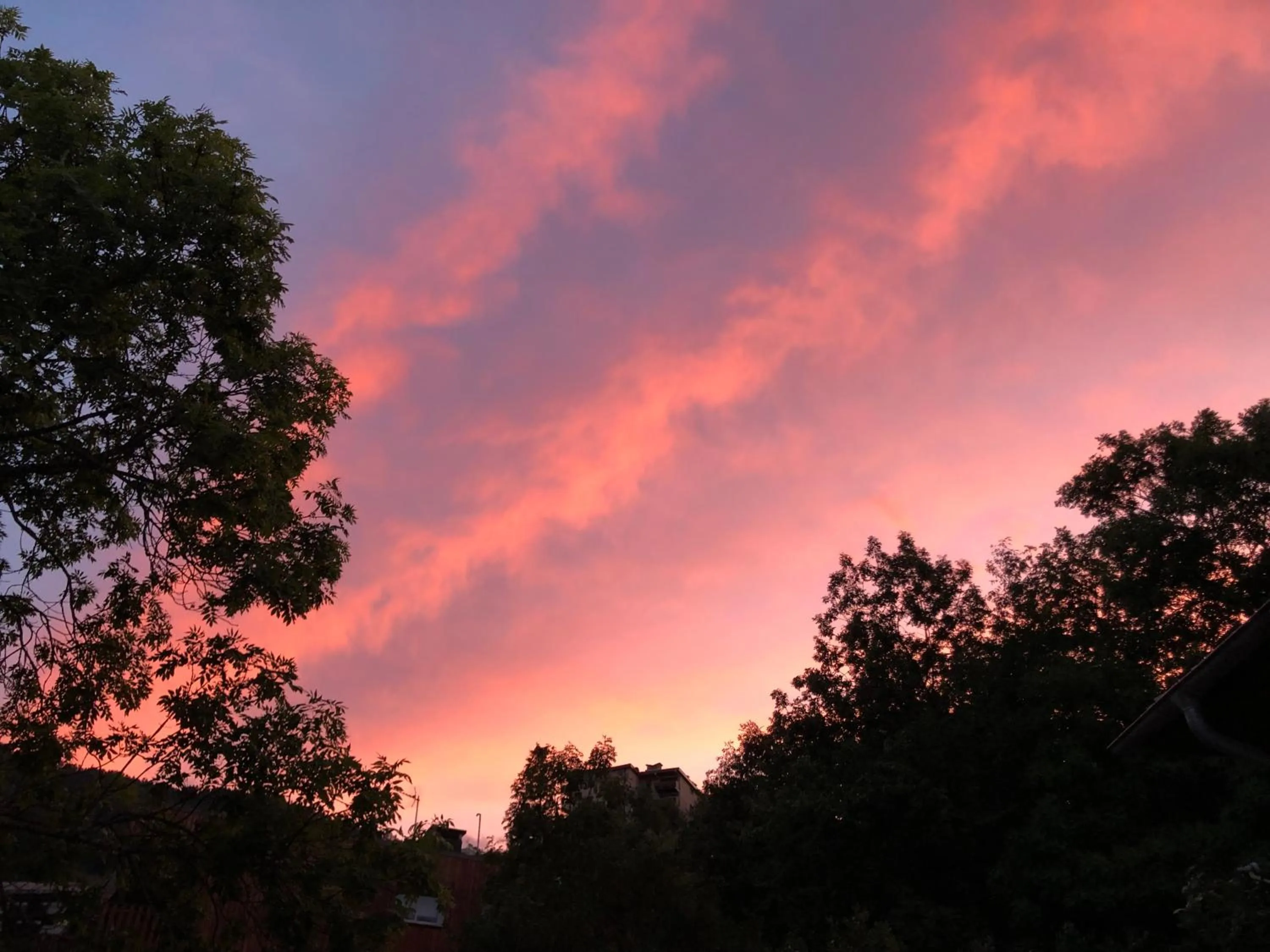 Natural landscape in Auberge de Pra-Loup