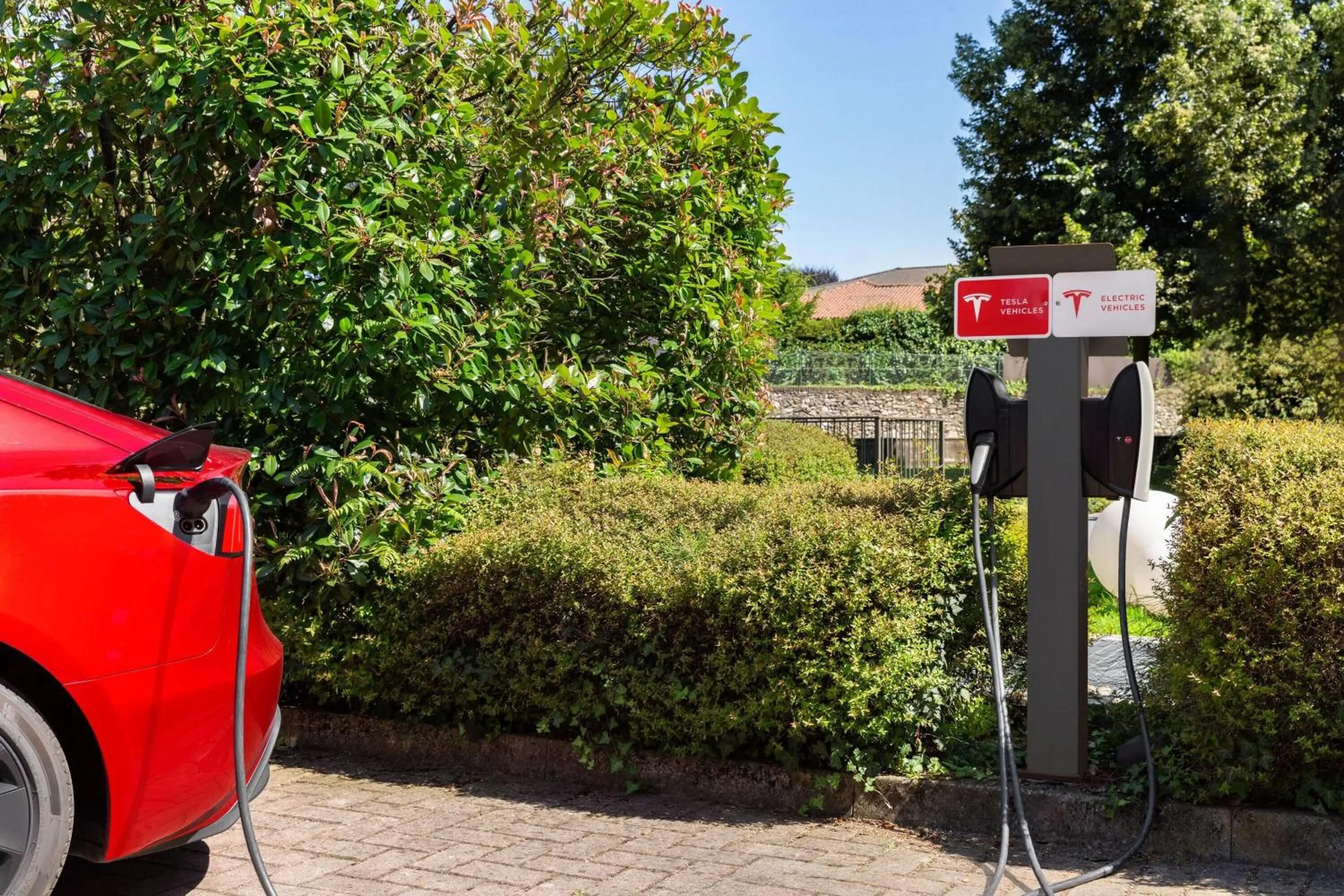 Other in Zeus Essence Dolce by Wyndham Milan Malpensa