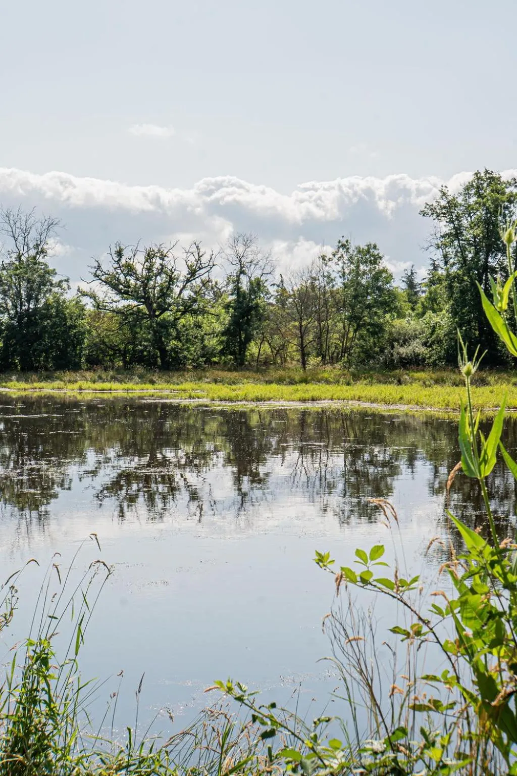Off site in Chateau des Perichons