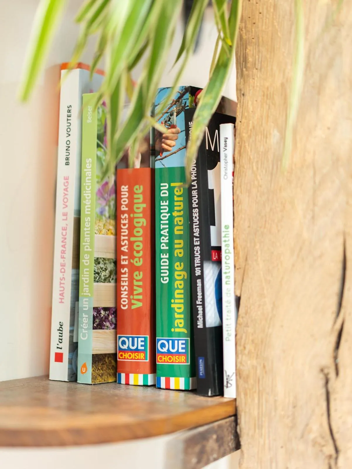 Library in Les Bobos à la ferme